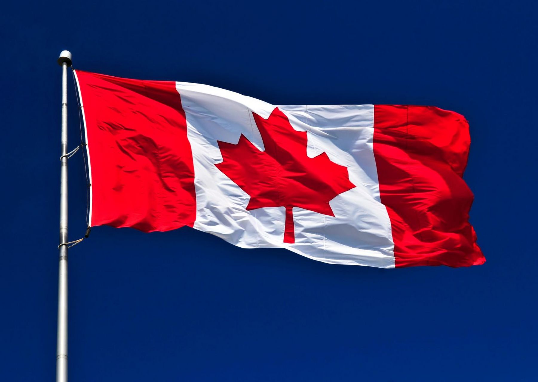 canada的国旗图片
