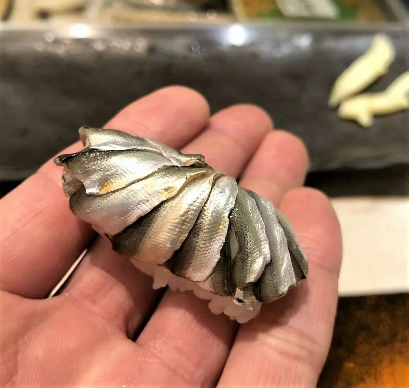 它是寿司屋中最炫目的光,古江户前寿司的主角,亮皮鱼中的横纲,江户前
