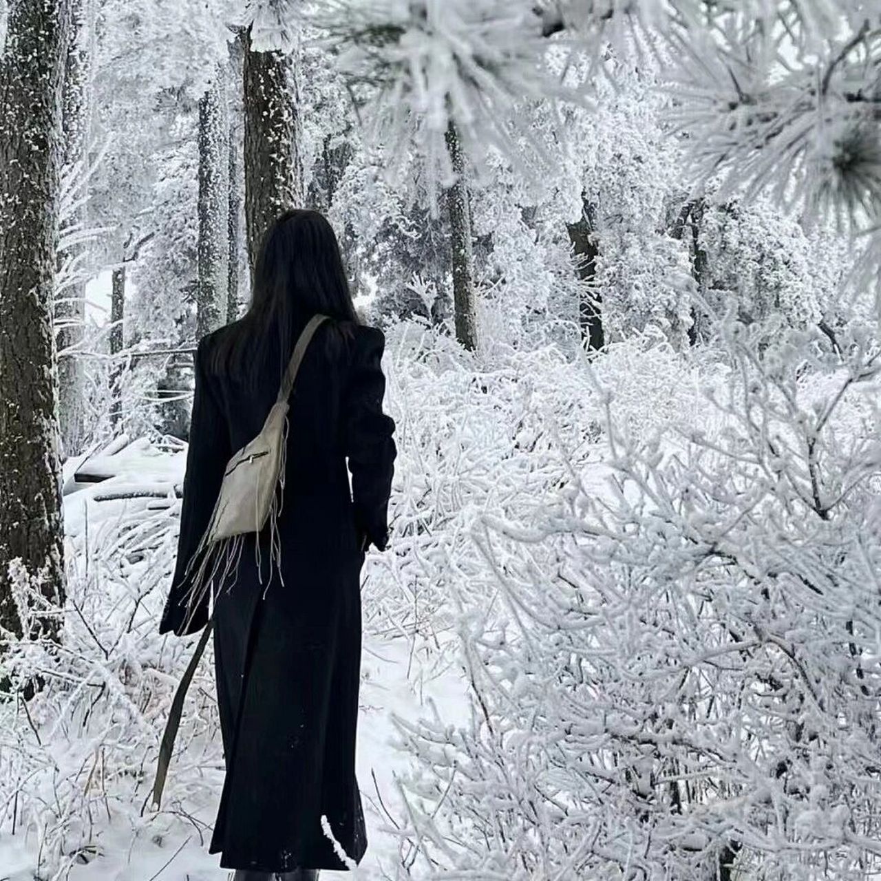 wechat|黑色系背影头像 无心风月,独钟自己         (侵删)