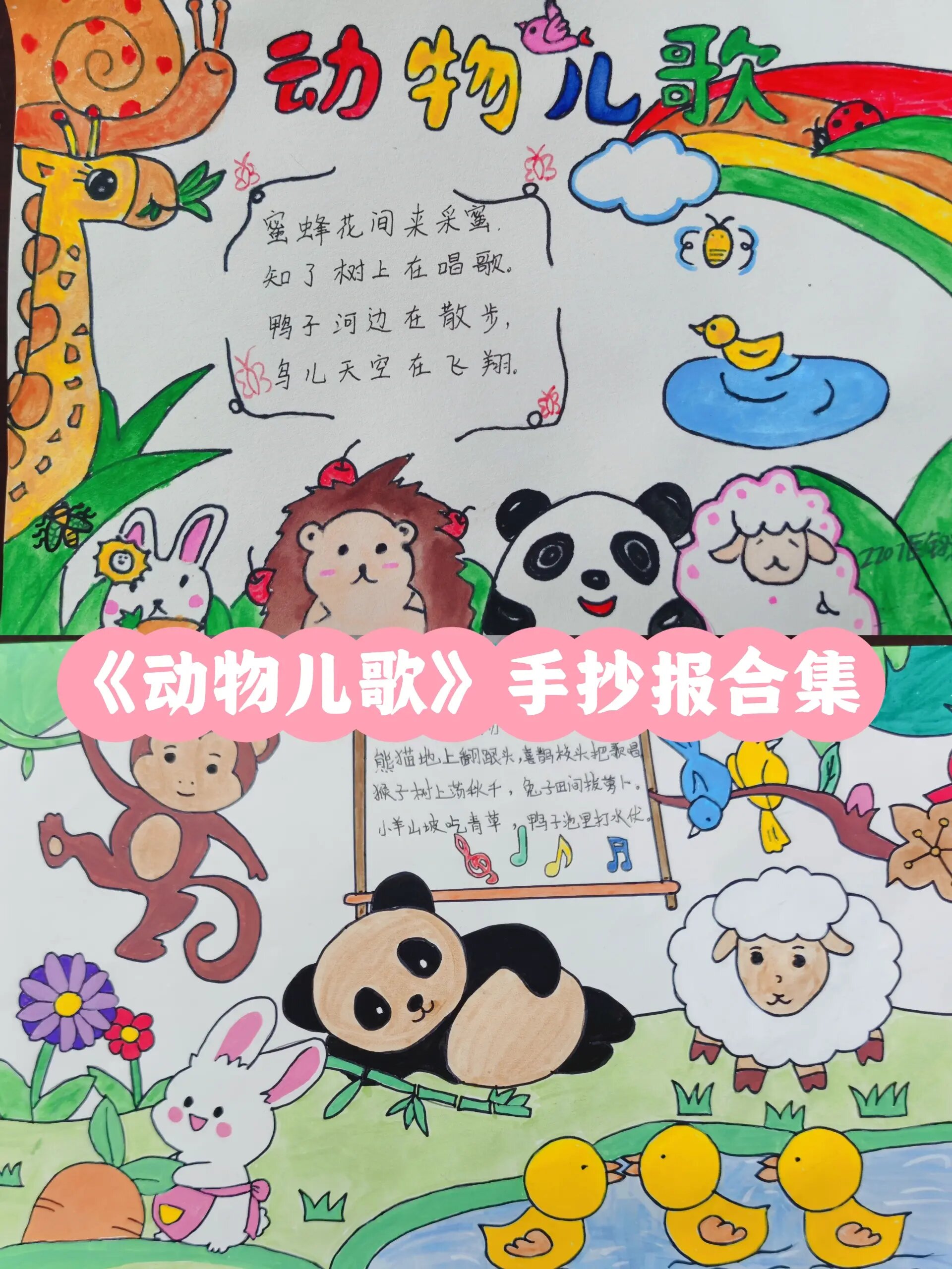 你们要的《动物儿歌》手抄报来啦🎨
