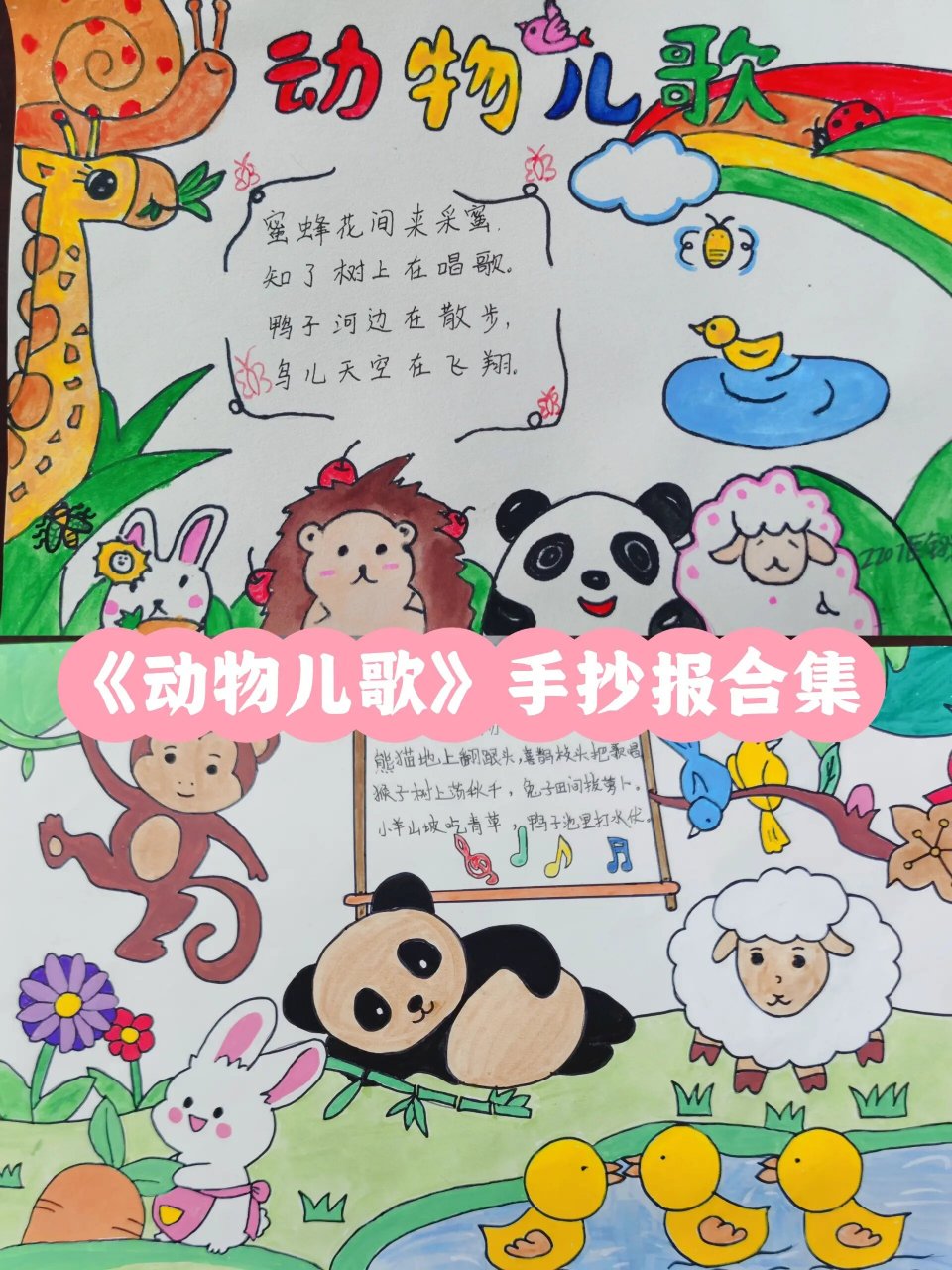 你们要的《动物儿歌》手抄报来啦🎨 📝学生的周末实践作业