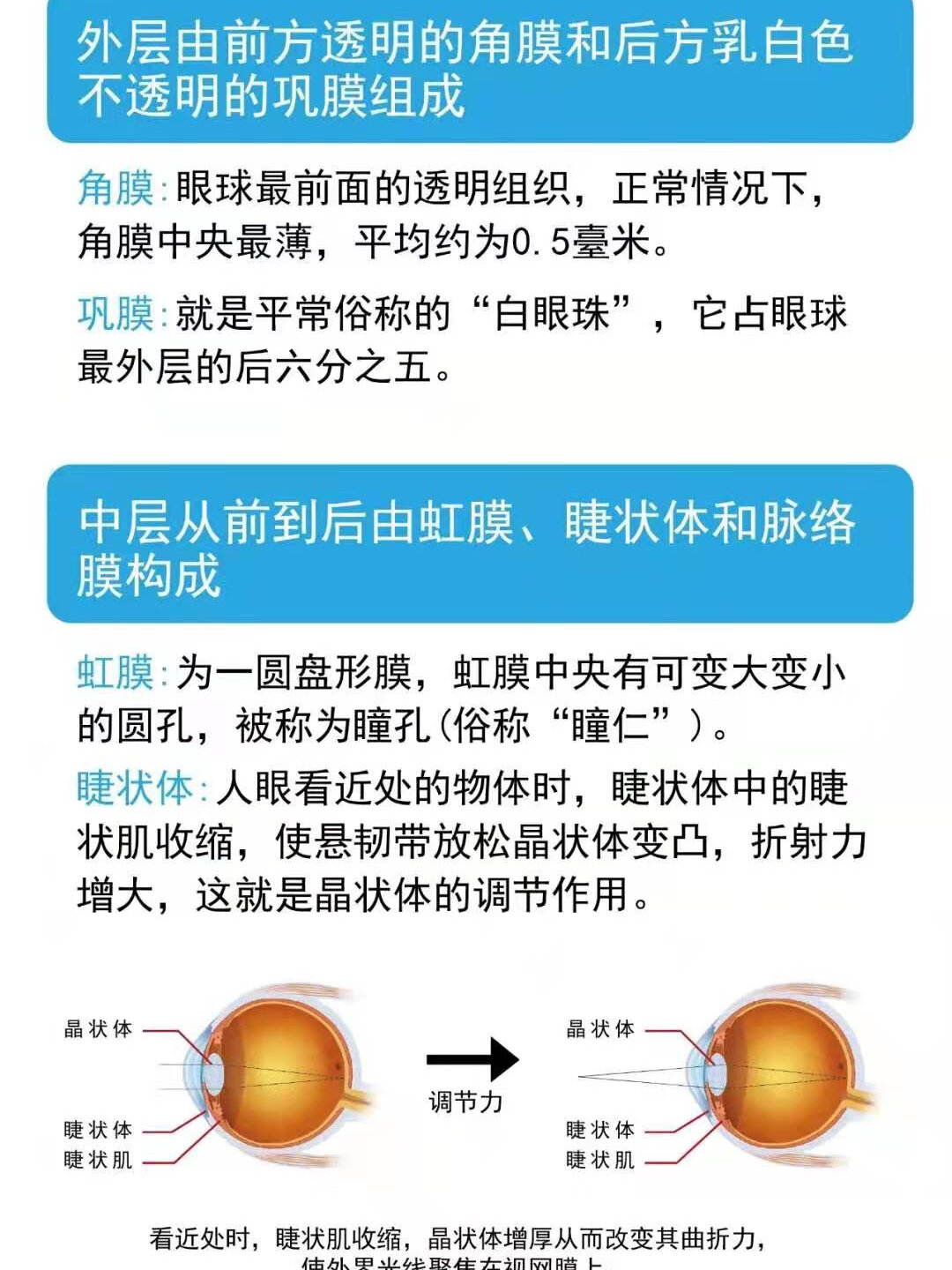 您了解我们眼睛的结构和功能吗 今日分享 通过3张图片