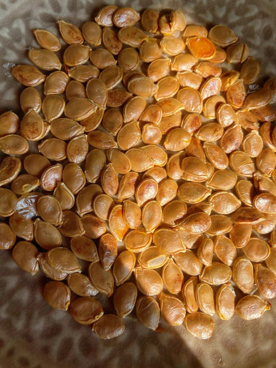 空气炸锅篇 | 烤南瓜子原味哒 顺便烤个 烤贝贝南瓜掏出来的南瓜籽