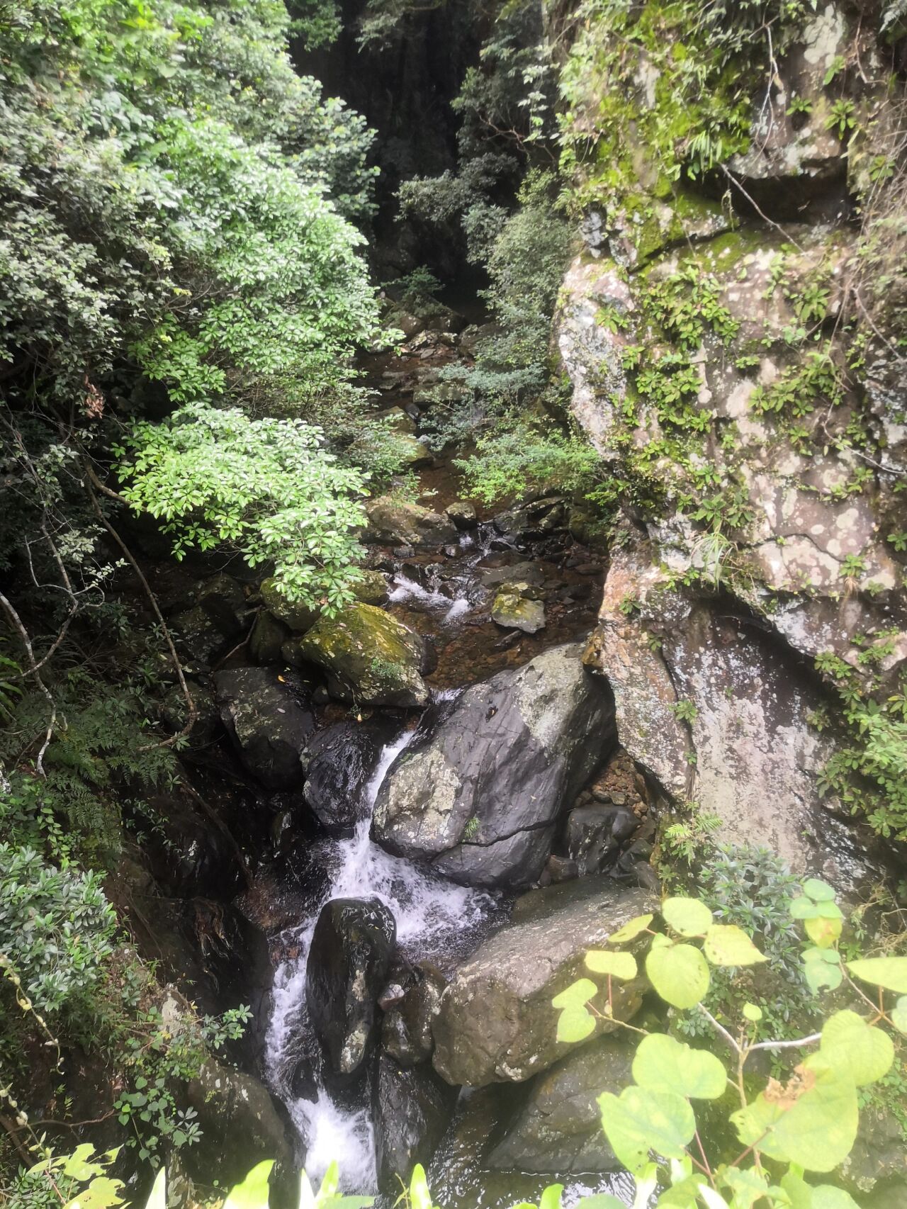 鹤山龙潭山风景区门票图片