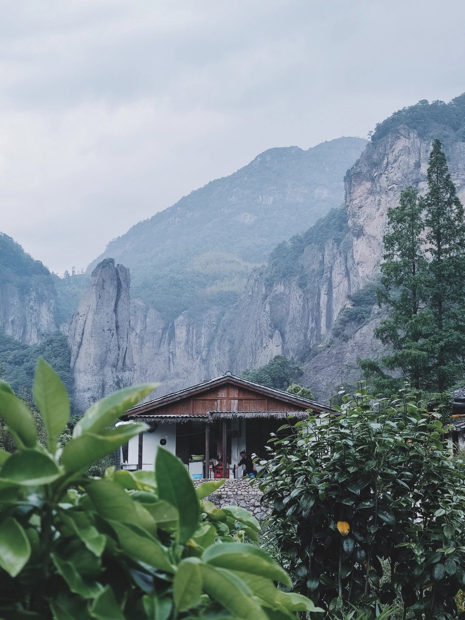 雁荡山普明禅寺 雁荡山有十八古刹,普明禅寺是雁荡山十八古刹之一,据