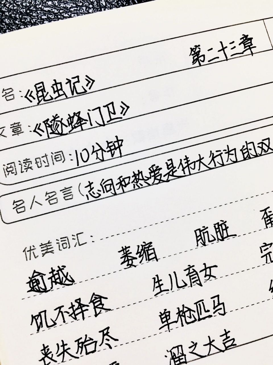 《昆虫记》读书笔记 | 第二十三章《隧蜂门 03全灵同款文具和图书