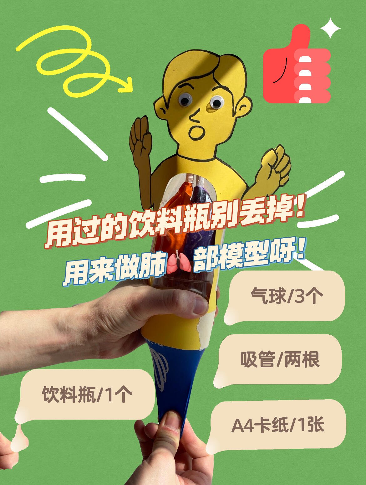 03|100个瓶子diy之肺部模型