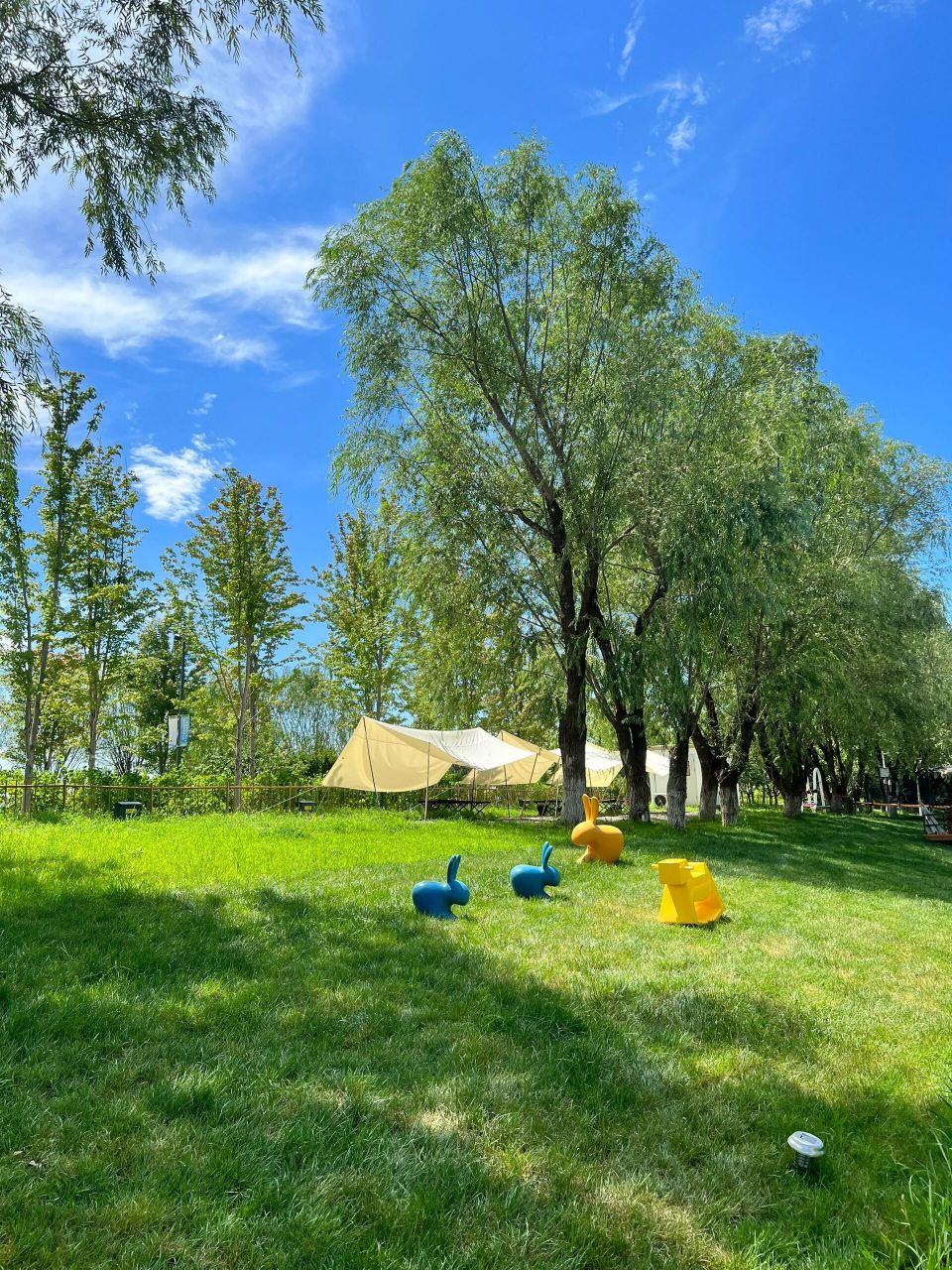 北京温榆河公园位于北京中心城区东北边缘, 朝阳,顺义,昌平三区交界