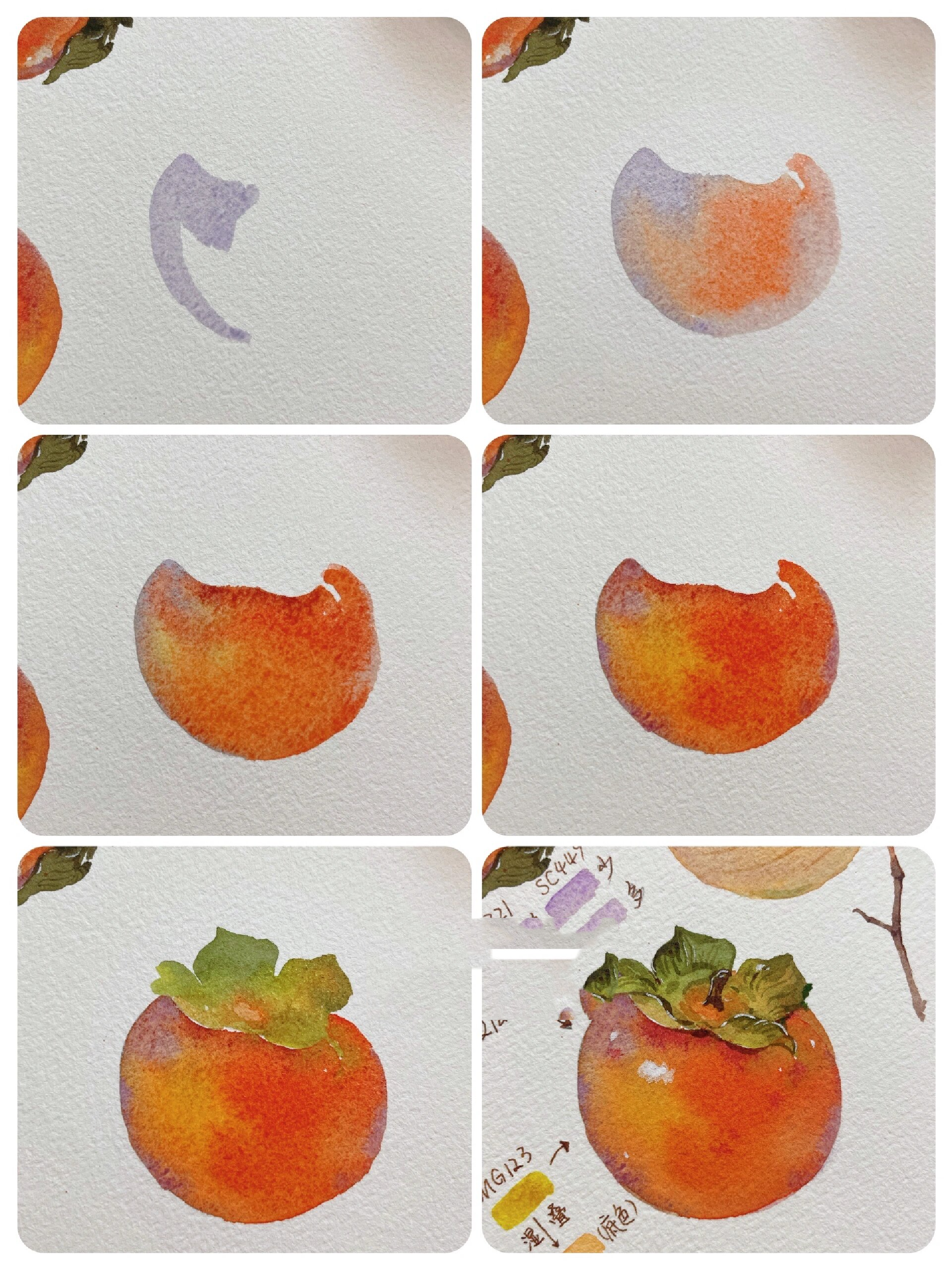 水彩 | 脱稿柿子