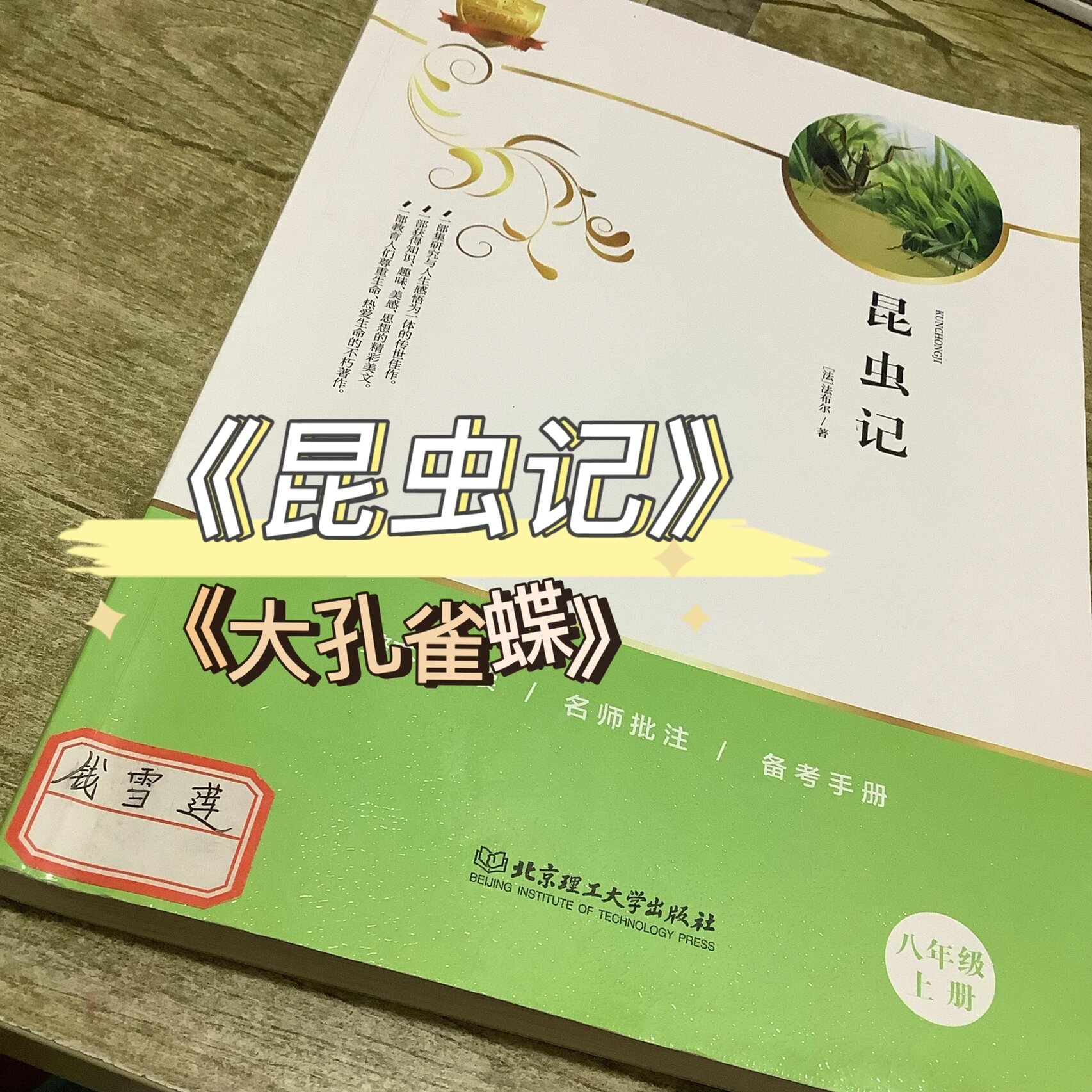 《昆虫记》《大孔雀蝶》上