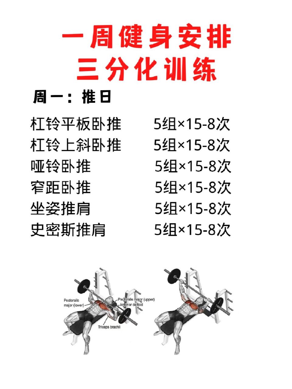 功能三分化训练 推拉蹲三分化训练计划,这套计划对于选择困难症很友好