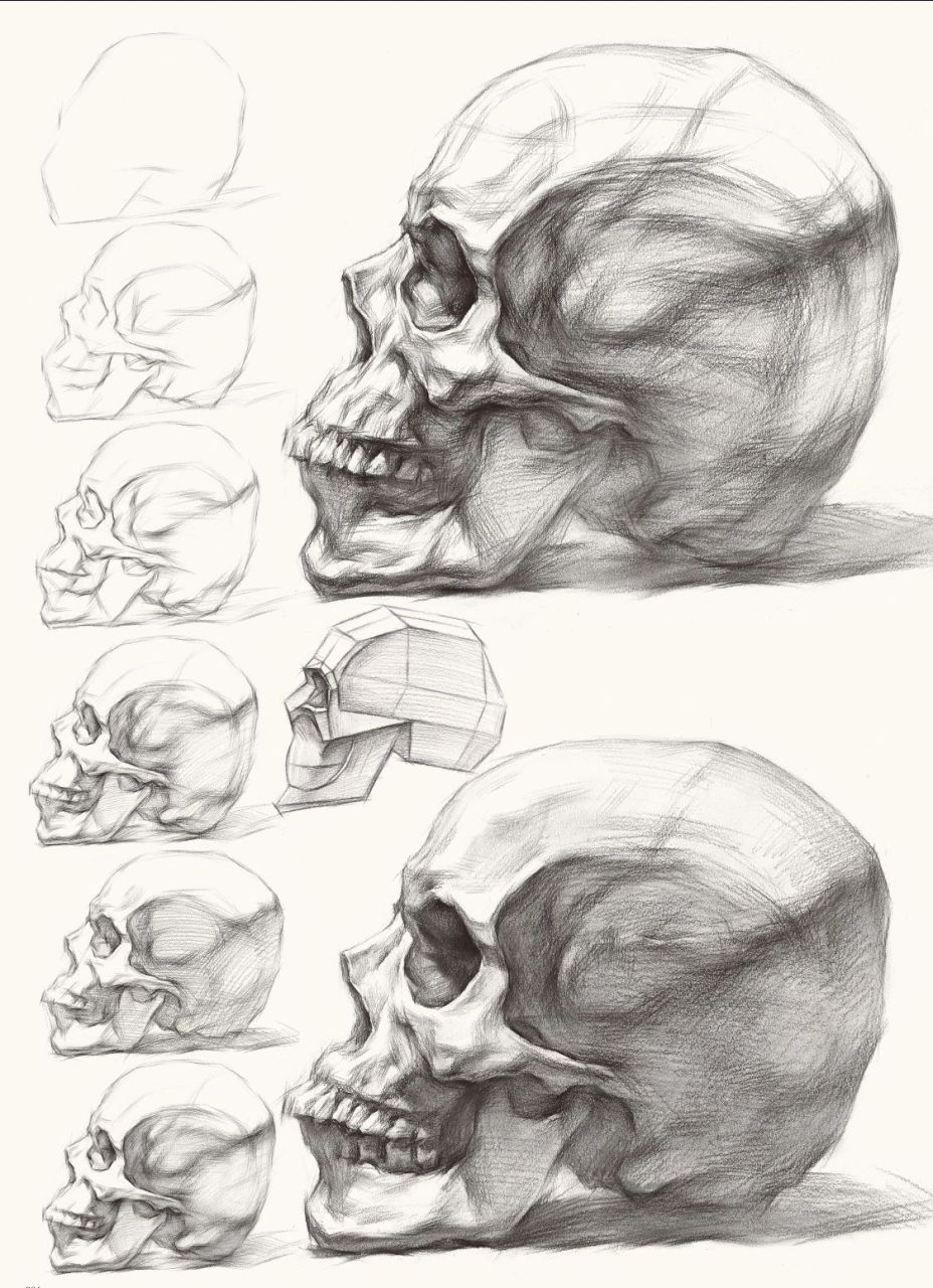 素描骷髅头骨,头像不可缺少的.