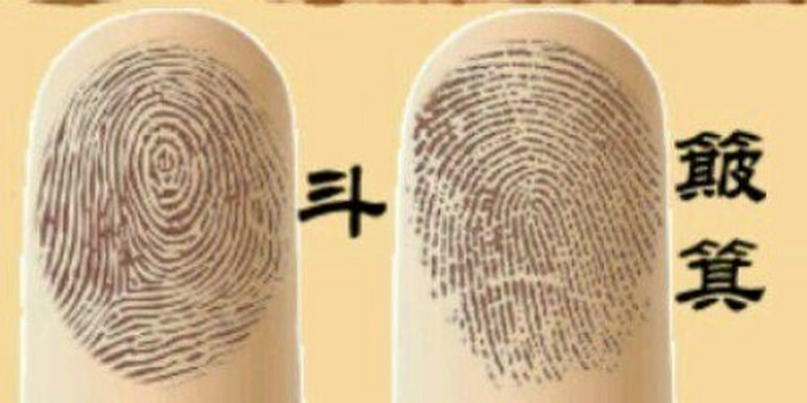 手纹 手诊  手相     手指的簸箕和斗 你的手上有几个簸箕和斗?