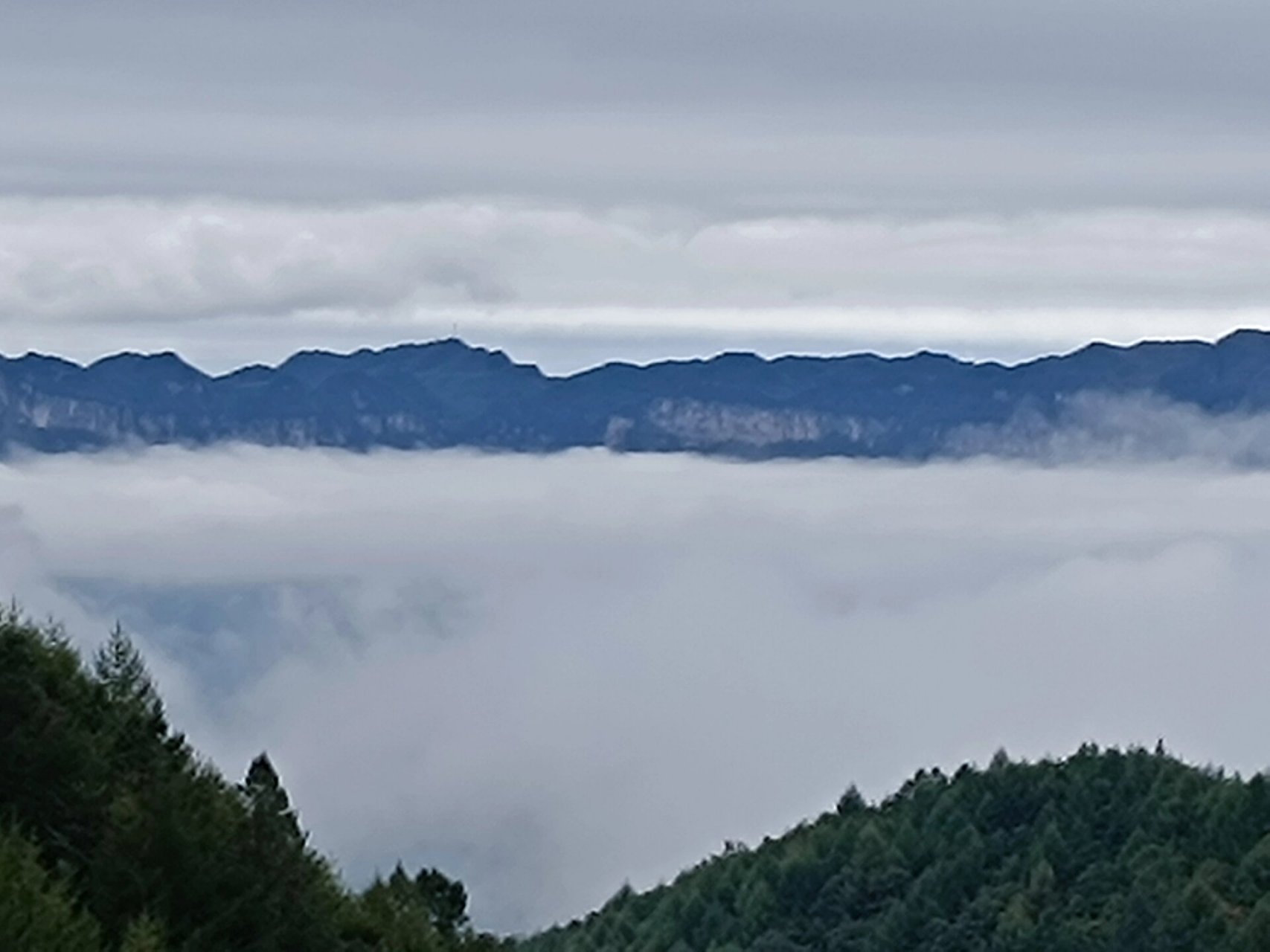 旺苍光头山 11月可以看红叶,云海
