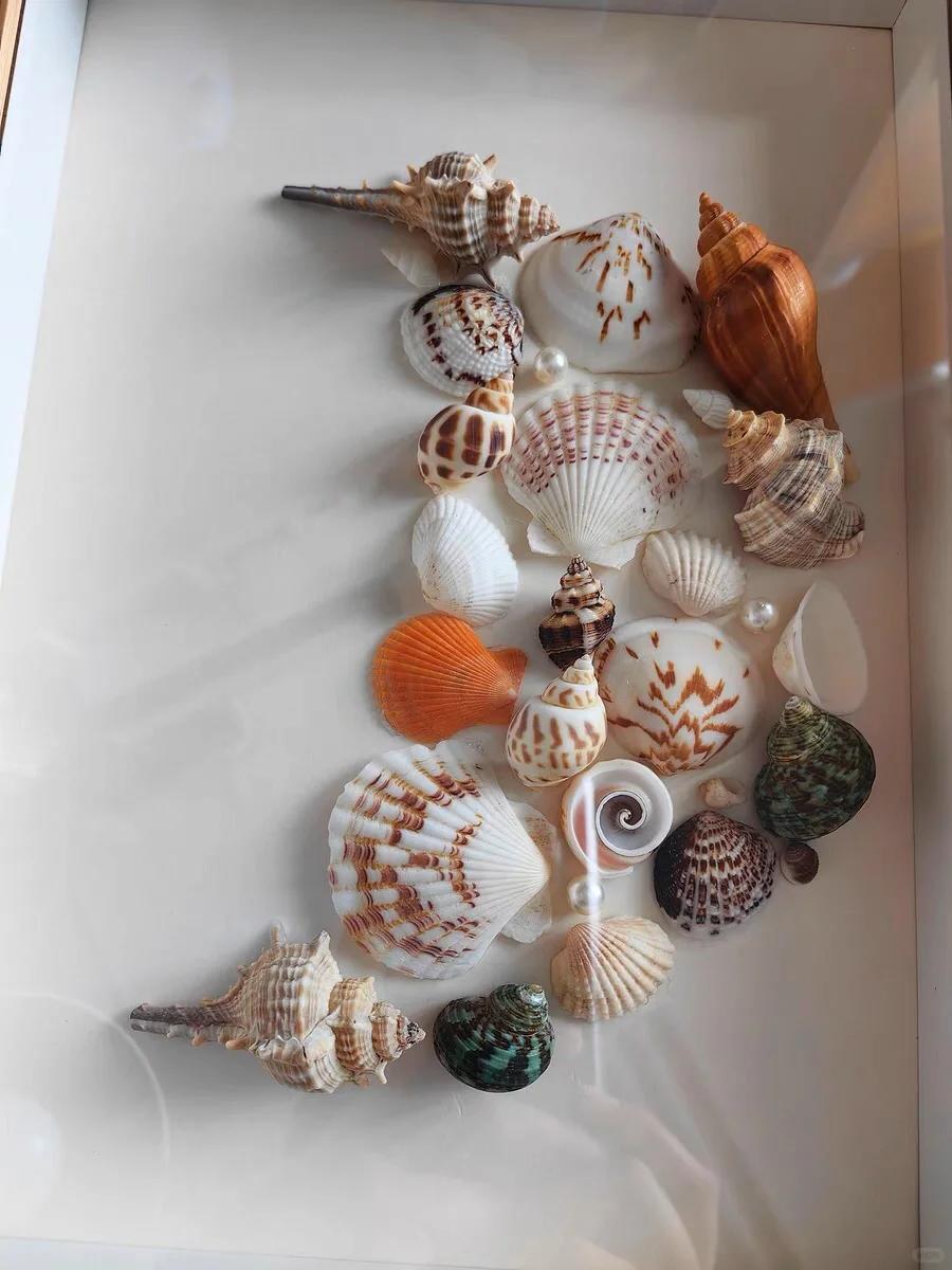 自己动手做的diy贝壳海螺相框画 自己弄了一下,感觉还好,家里又都了一