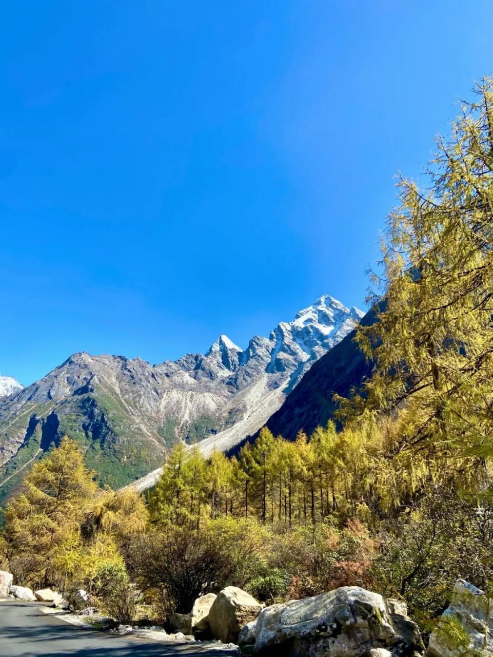 川西毕棚沟风景区是国家aaaa级旅游景区,被称为"川西小瑞士"90景色