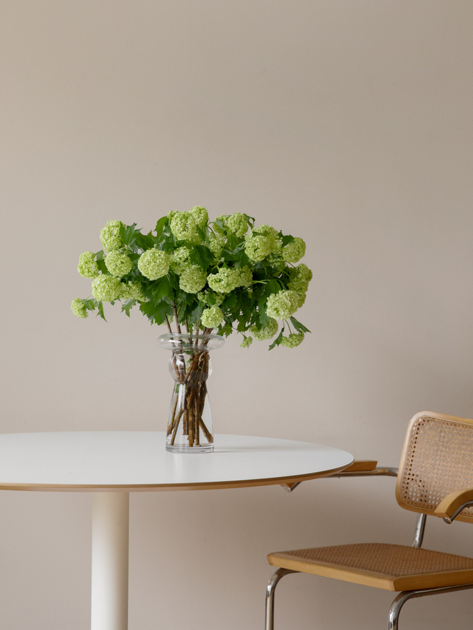 76虞美人/郁金香/银莲/松虫草/铁线莲 花瓶:anissa kermiche 77