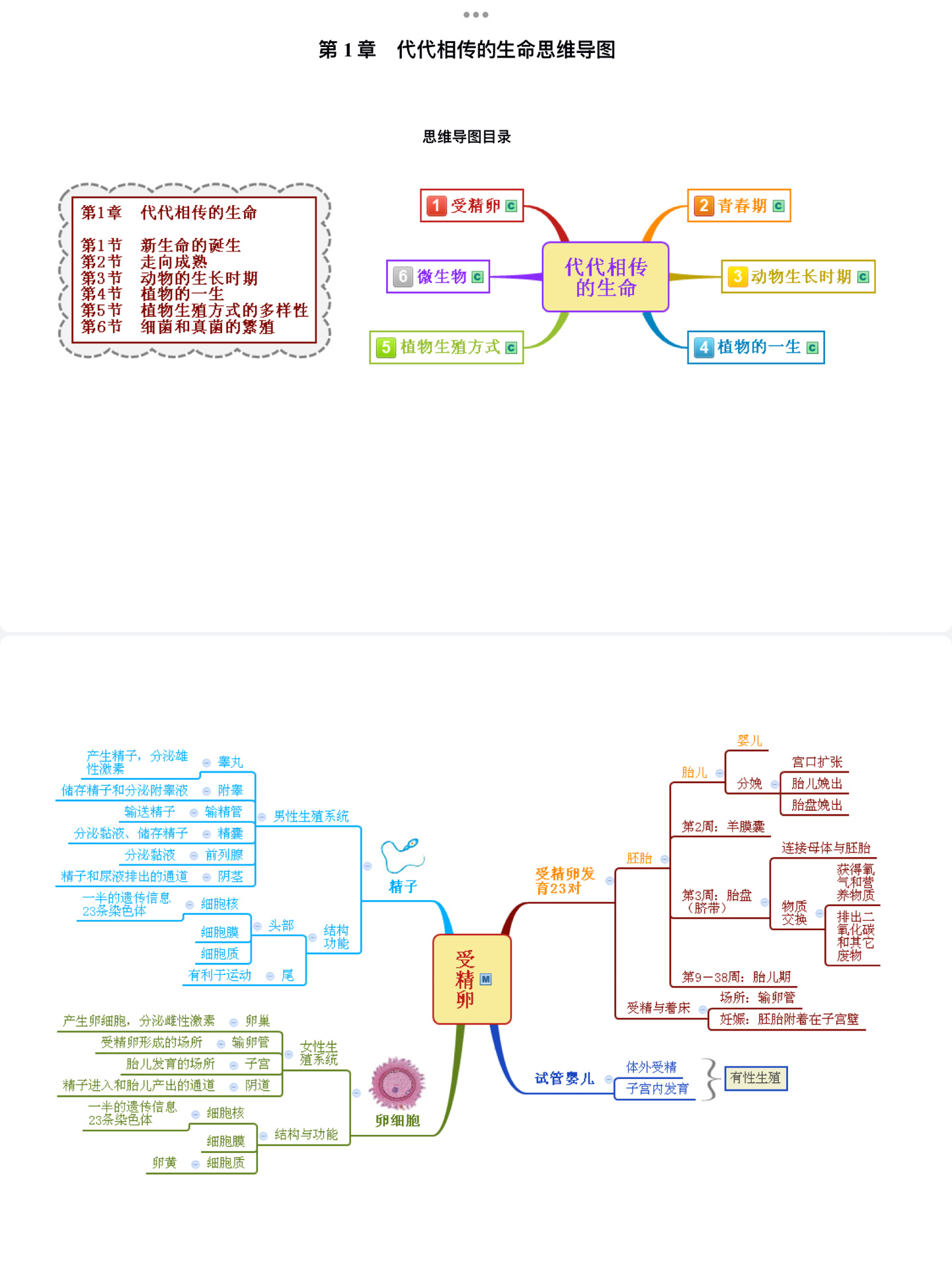 浙教版科学七下第一章思维导图