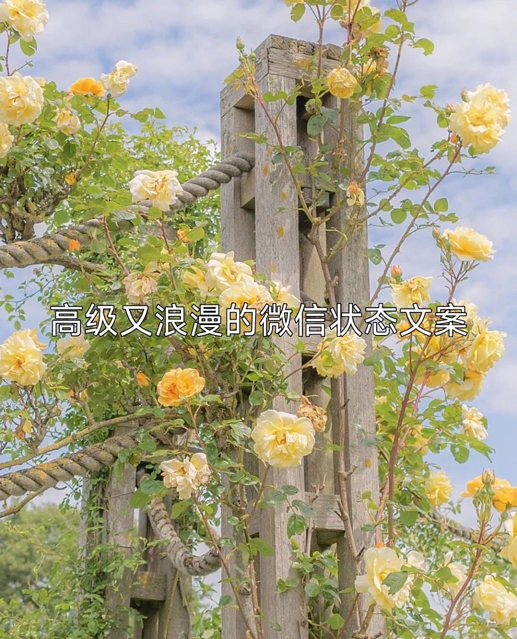 高级又浪漫的微信状态文案 1. 生活本来就是一场浪漫革命 2.