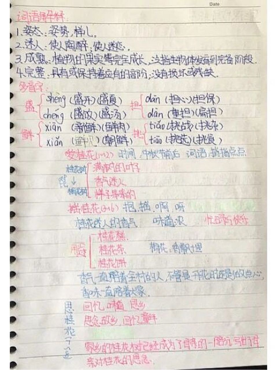 五年级上册语文第三课桂花雨预习复习和积累摘抄 想要电子课本私信