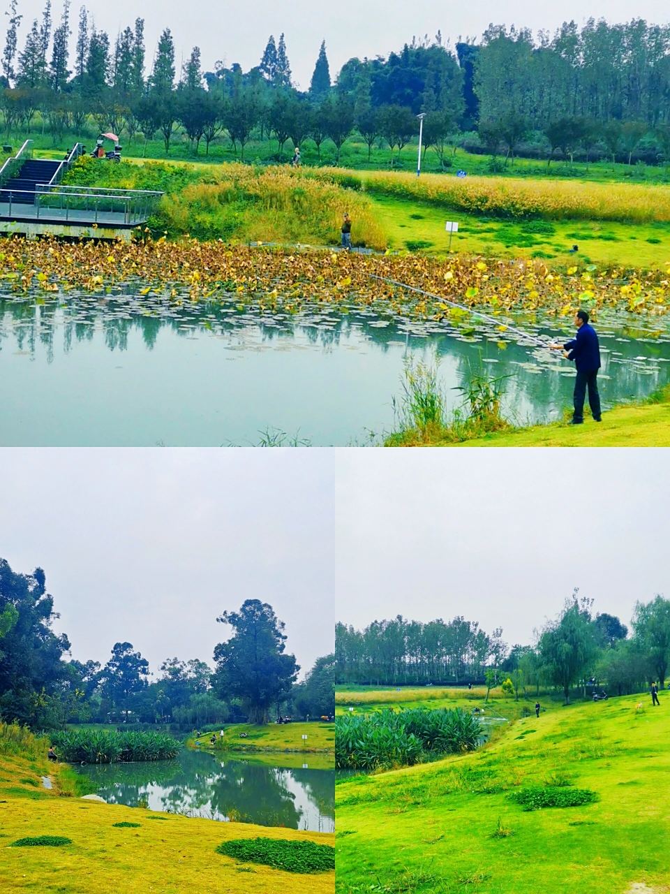 钓鱼人天堂00溜娃遛狗|两河城市森林公园 两河城市森林公园 60