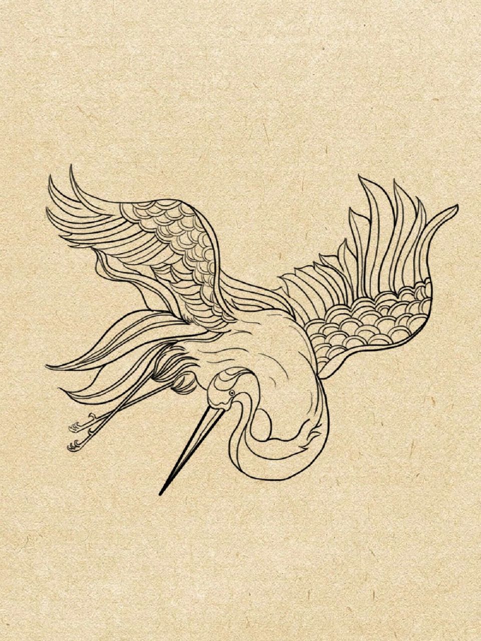 60天团练|仙鹤画法|动物线稿六种姿势 这次第五期团练学员画的六种不