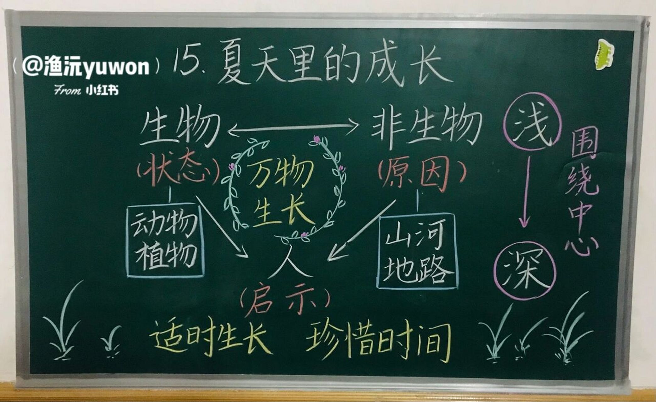 六(上)《夏天的成长》板书设计 文案来源:嗯嗯 #小学语文板书设计