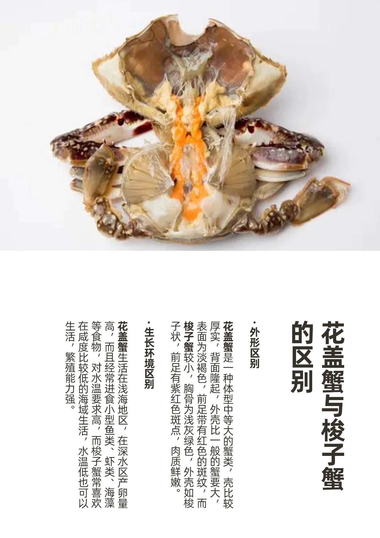 花盖蟹和梭子蟹的区别 怎么方便花盖蟹和梭子蟹