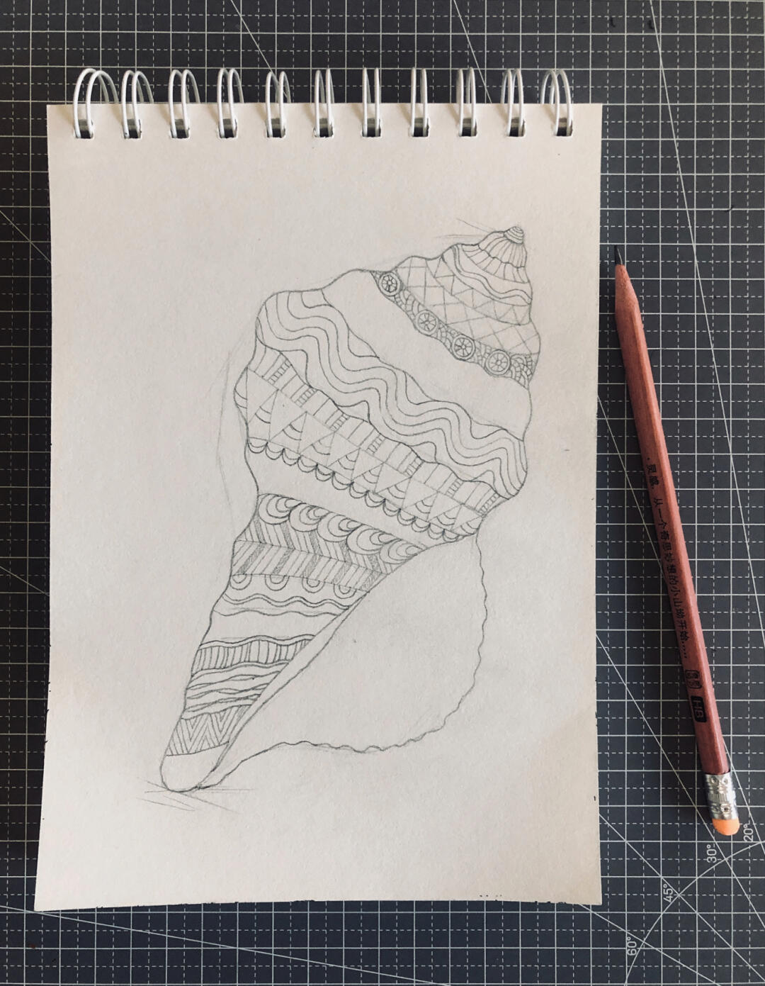 海螺黑白装饰画