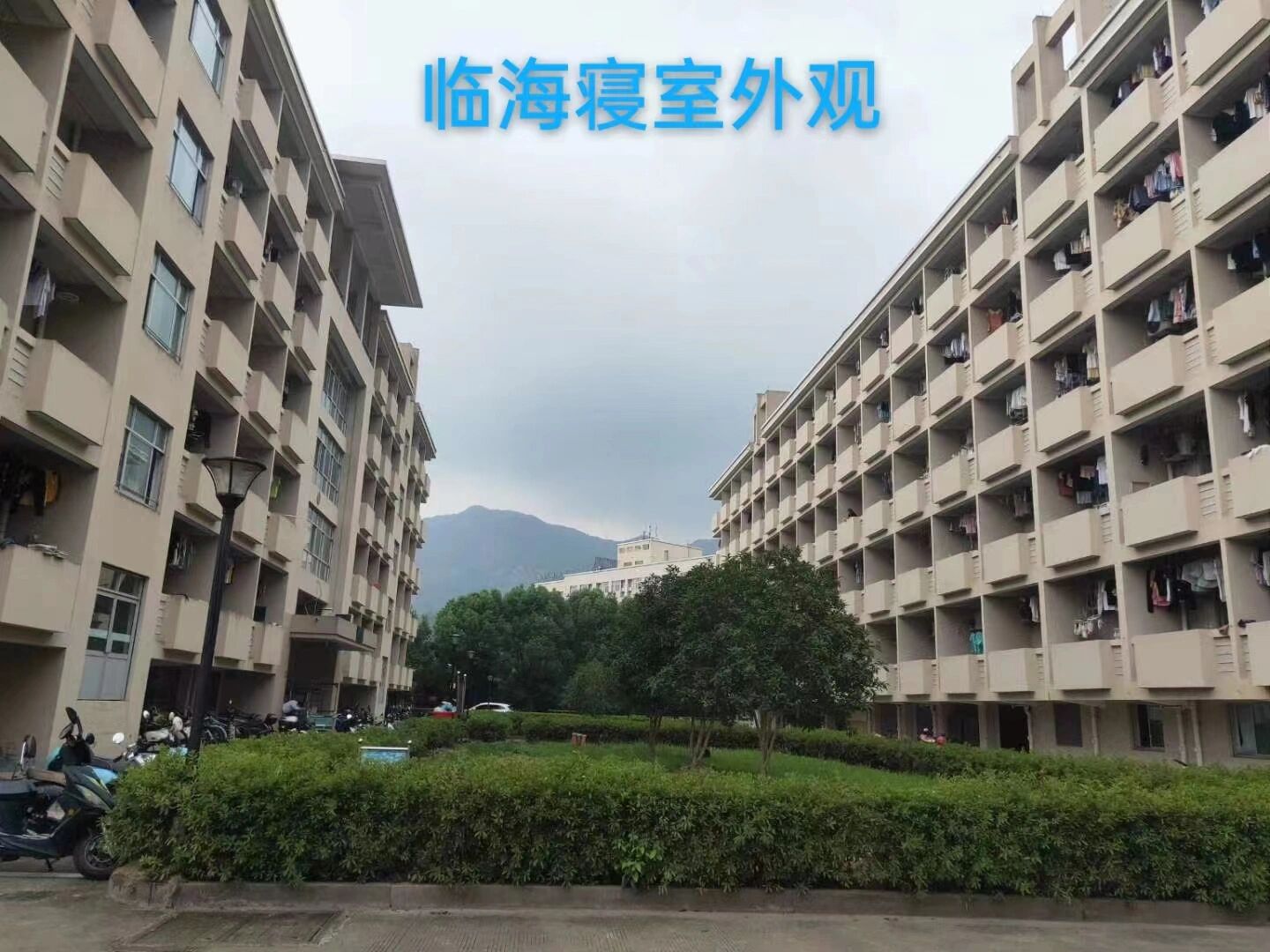 临海台州学院学生好泡图片