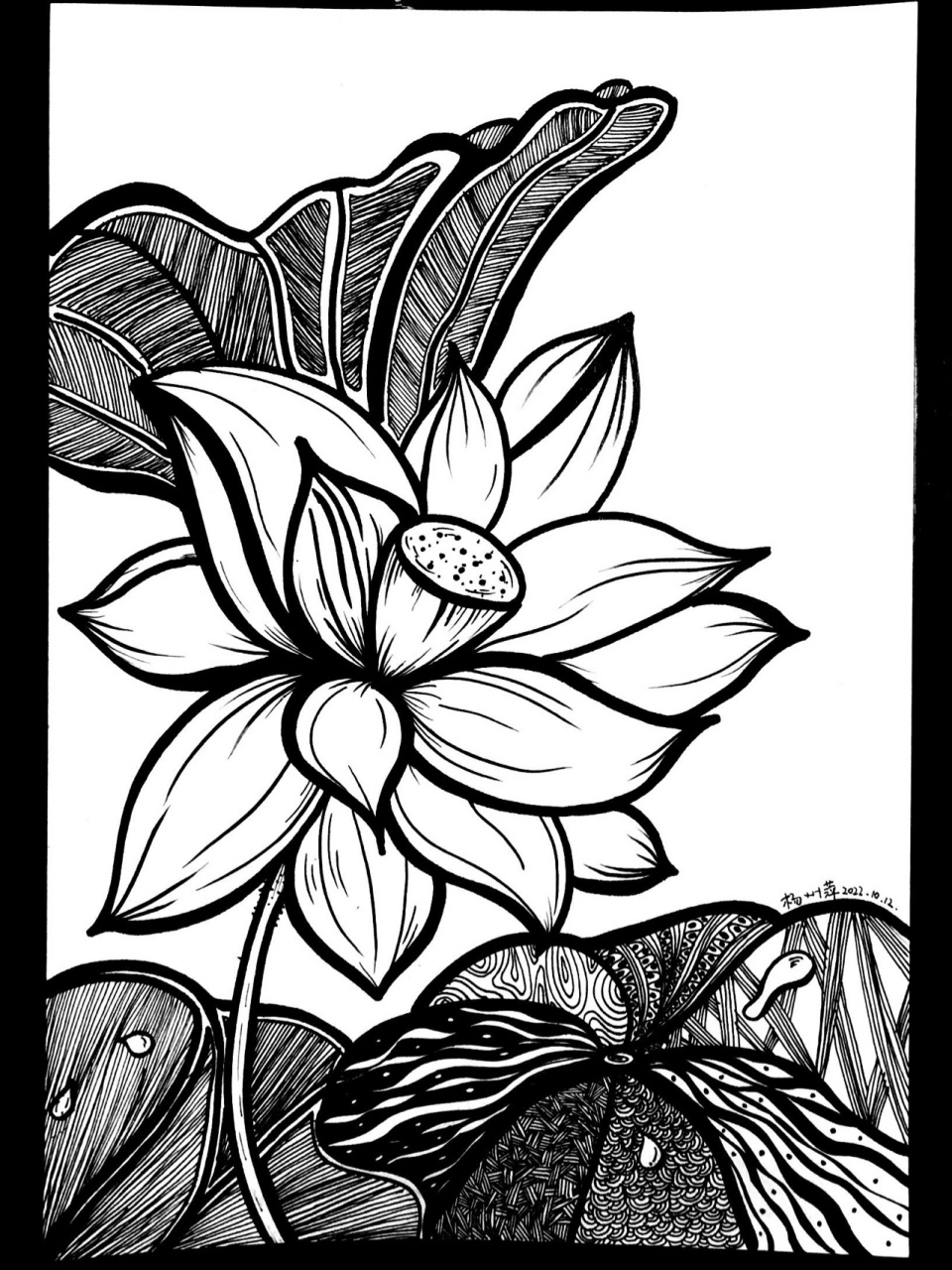 "廉洁"主题画～荷花 出淤泥而不染 ,濯清涟而不妖.