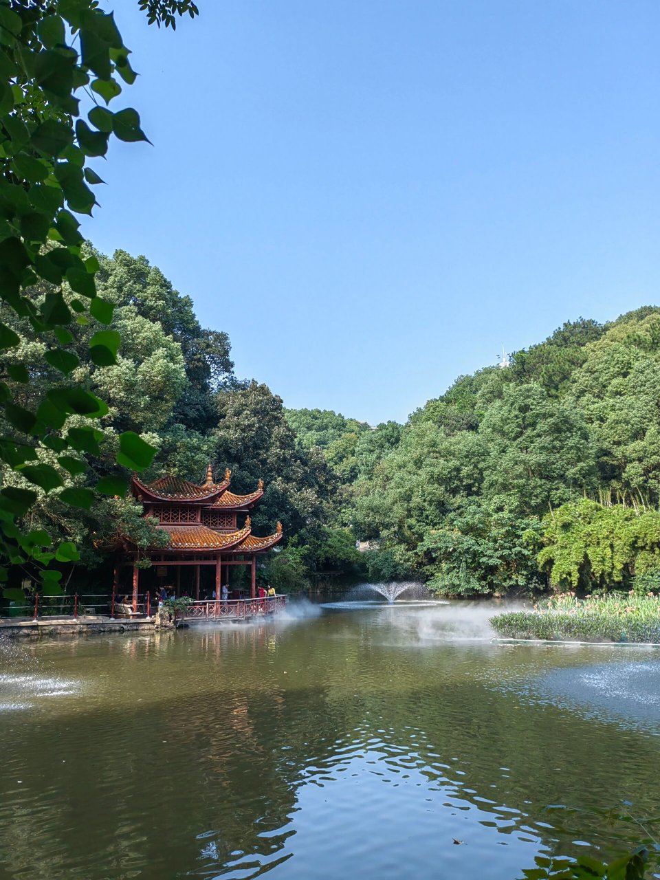 长沙南郊公园是谁的青春回忆啊71 80后长沙大学生们 就问谁还没有去