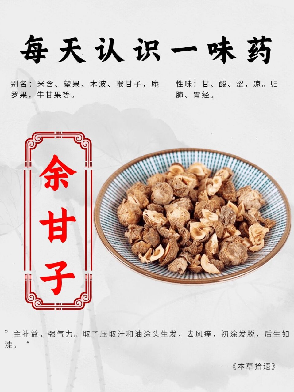 每天认识一味药【余甘子】 78余甘子别名:米含,望果,木波,喉甘子,庵