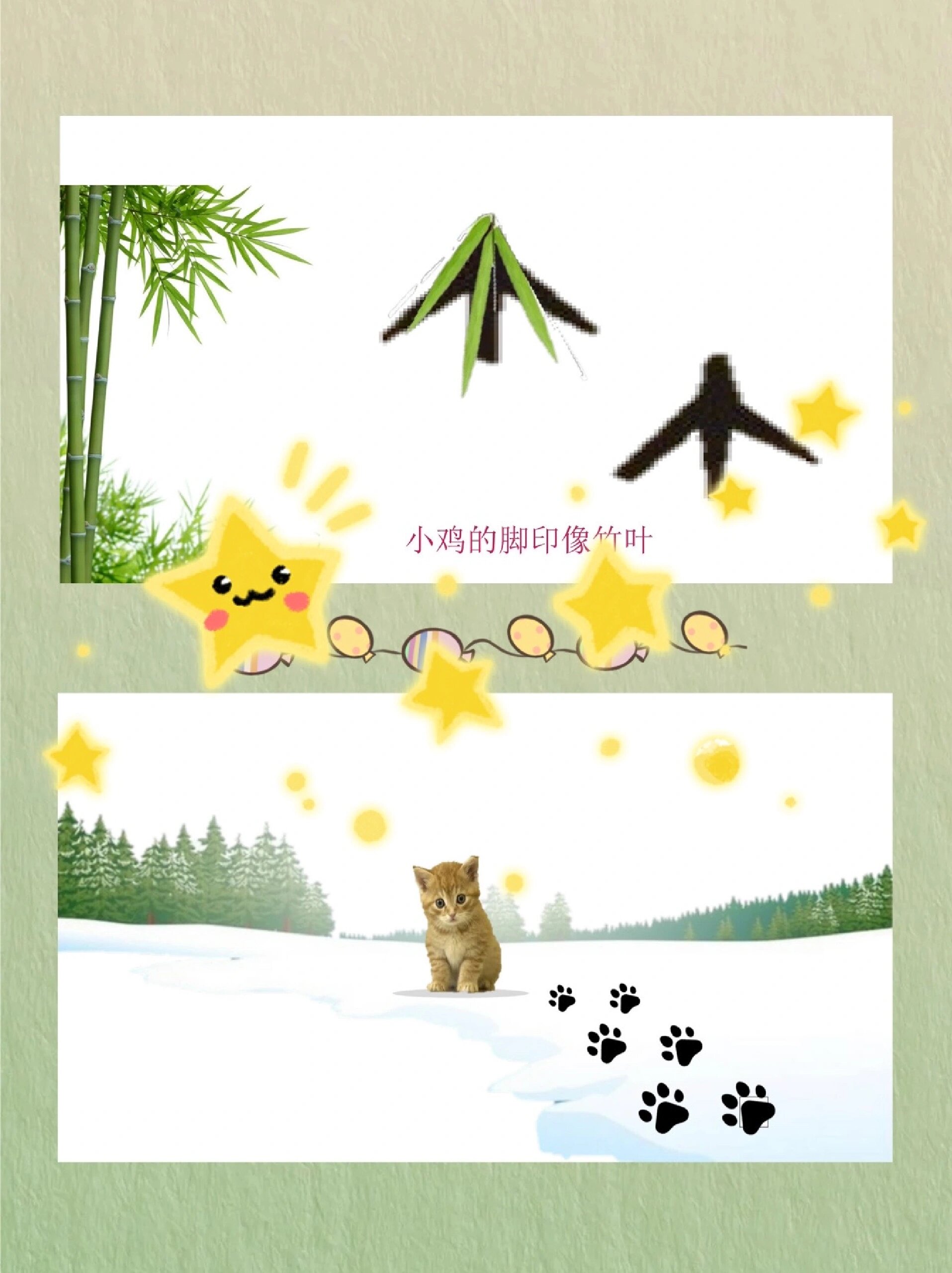 幼儿园公开课07小班·科学《谁的脚印》