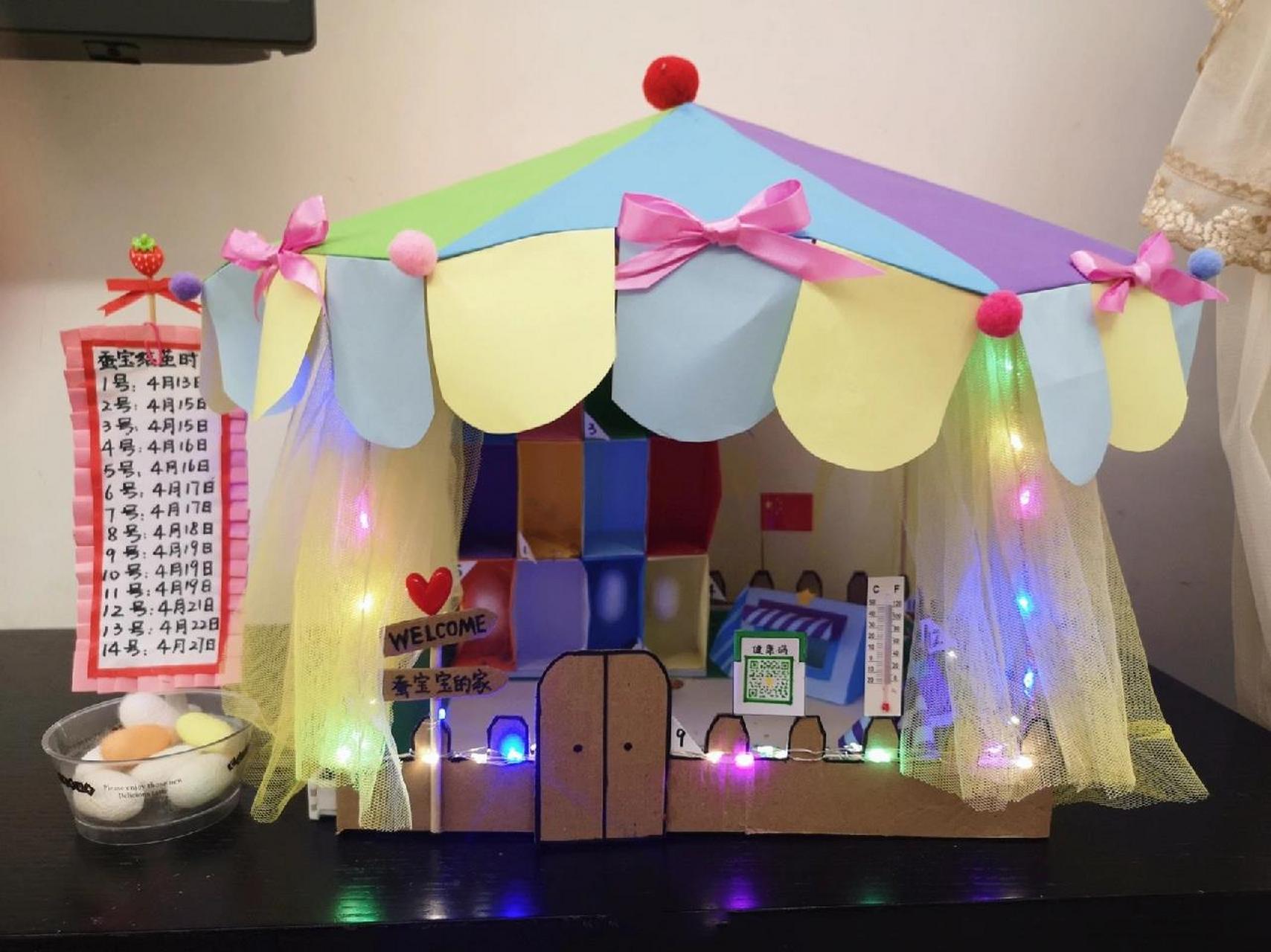 自制蚕房 蚕宝宝的家 diy蚕房 养蚕(下) 家里有个三年级的小朋友,科学