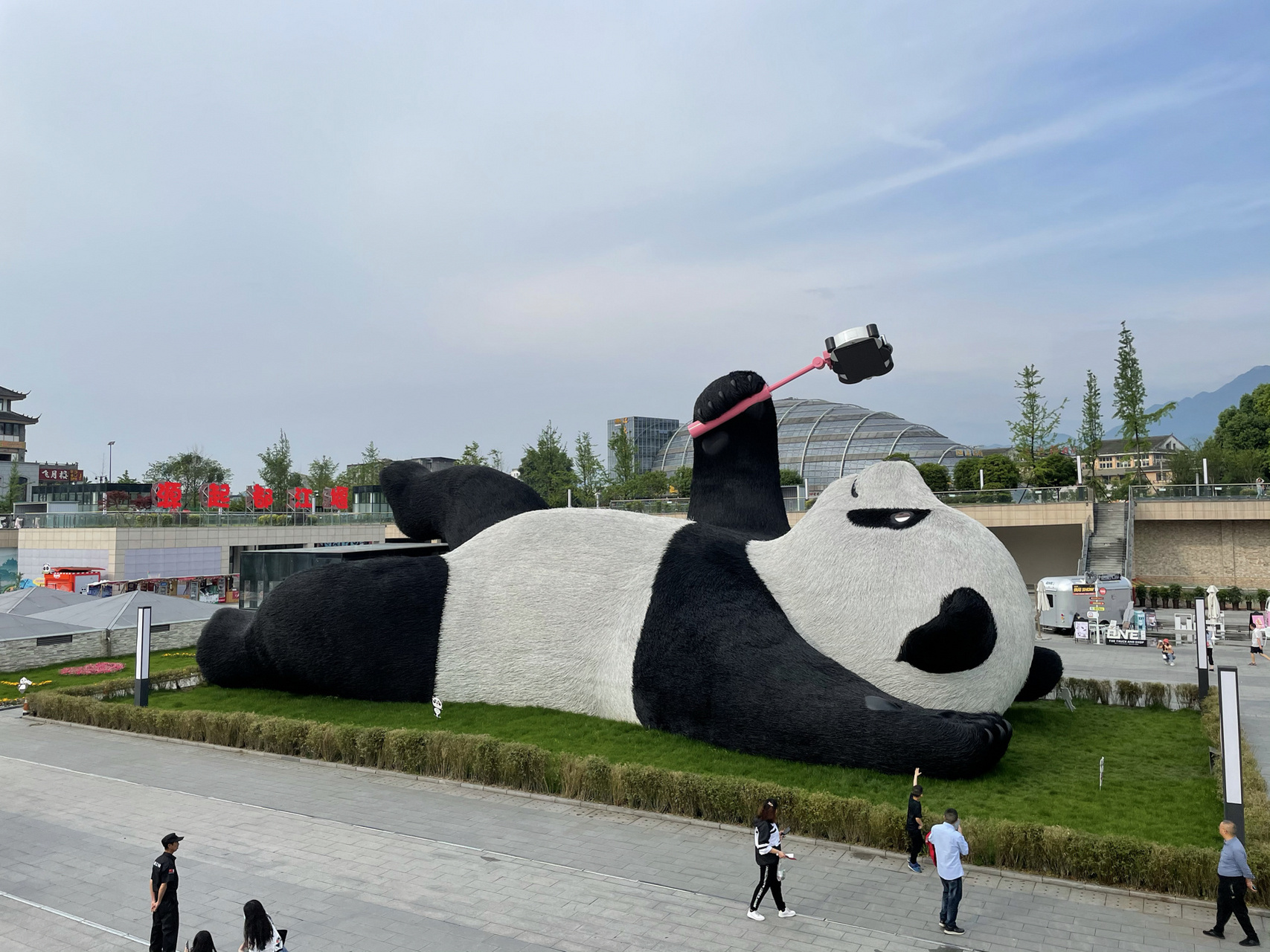 都江堰熊猫谷照片图片