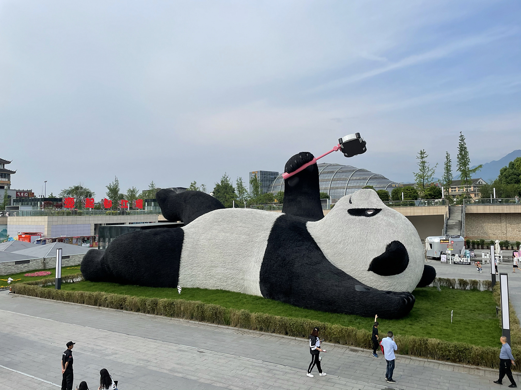 成都|熊猫谷vs熊猫基地 图为在都江堰游览熊猫谷所拍 熊猫基地之前已