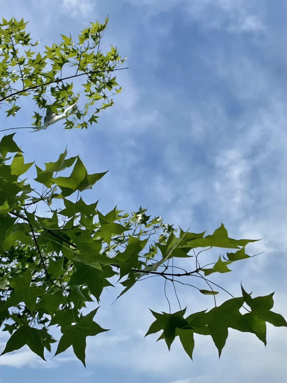 付出与得到,爱与被爱,有时候并不一定成正比,但,你所有的付出,时间是