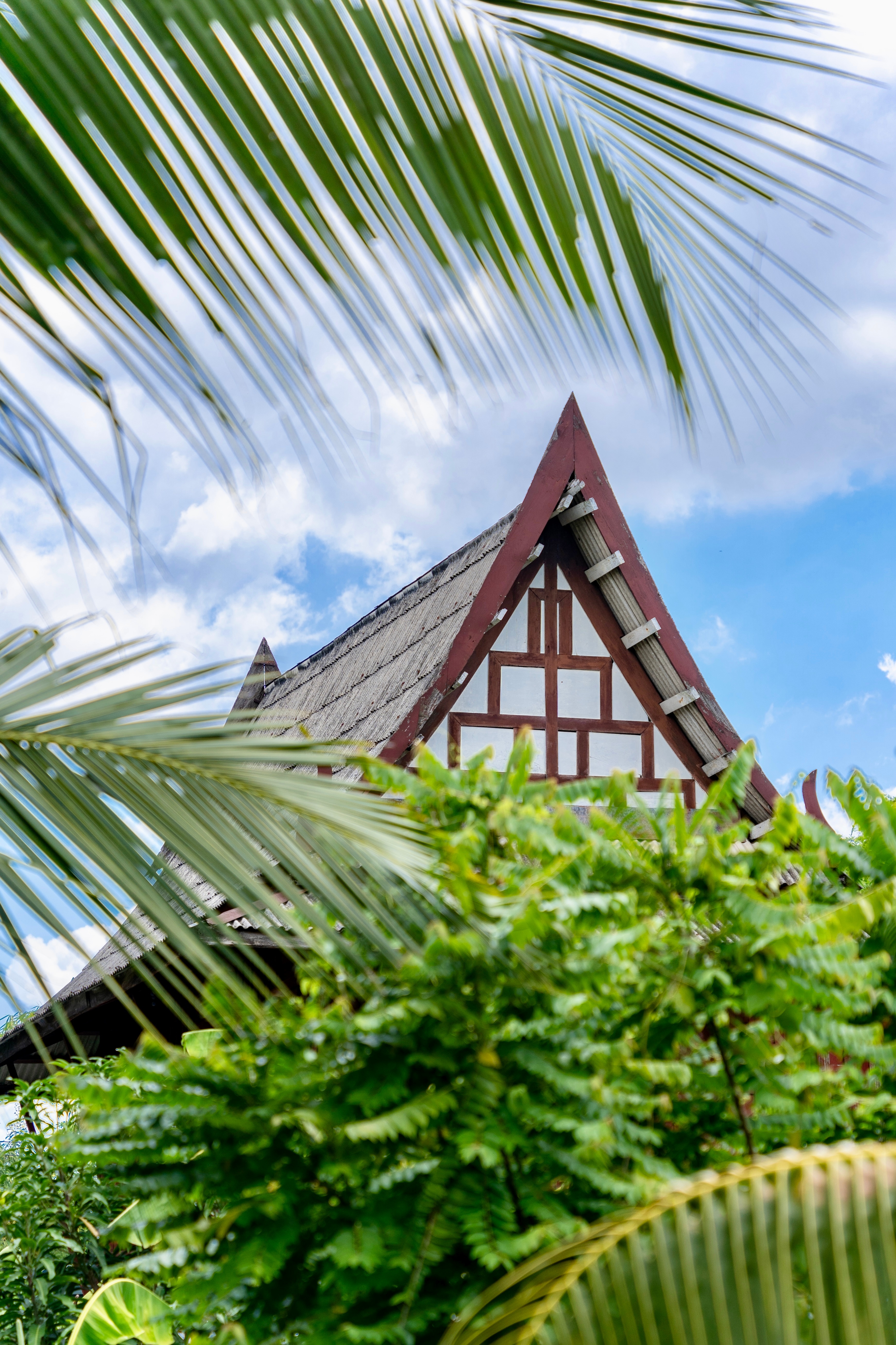 在曼谷我又发现了一处宁静的绿洲bangkrachao,又被誉为"地球绿肺".