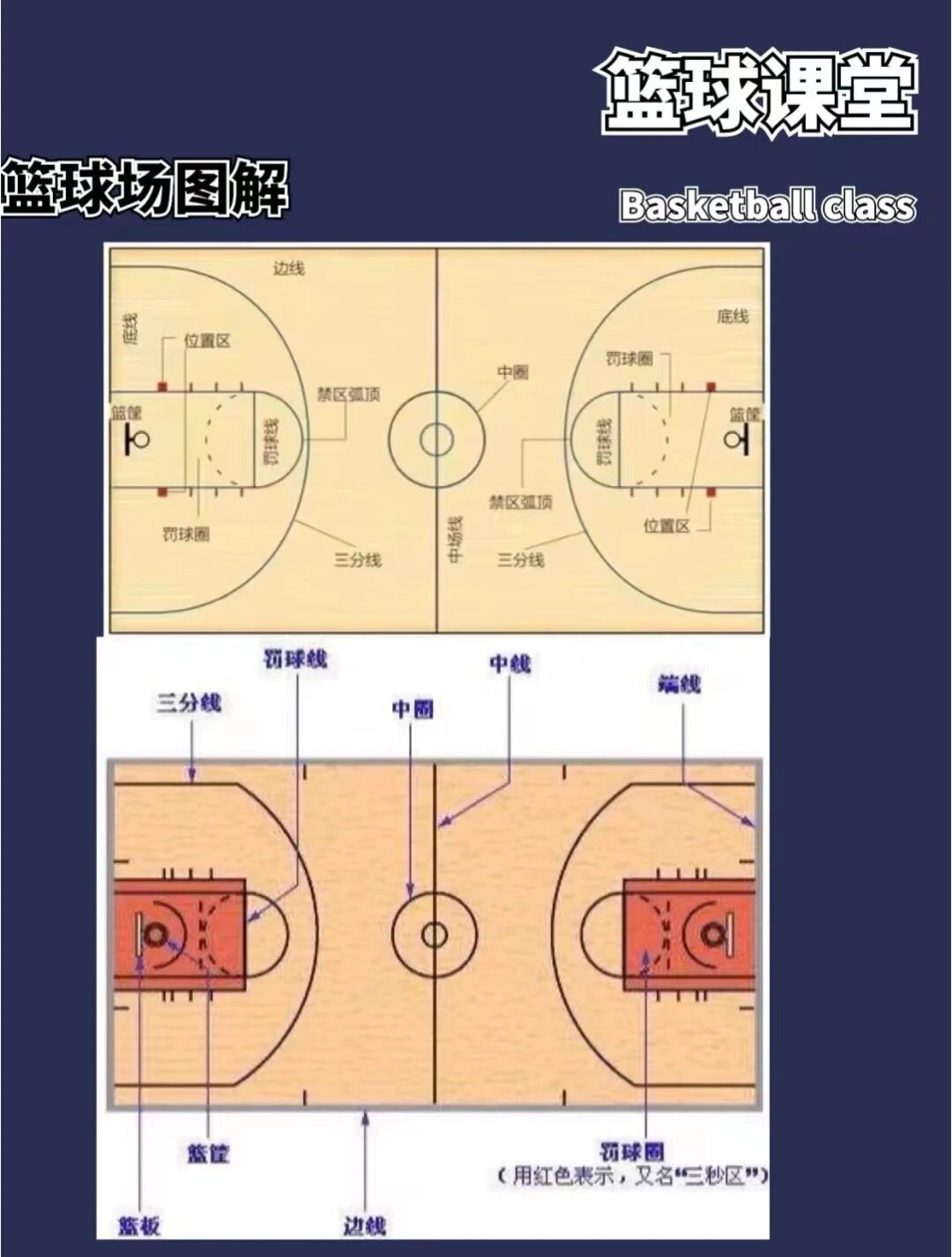 🏀篮球场上的区域分布‼️