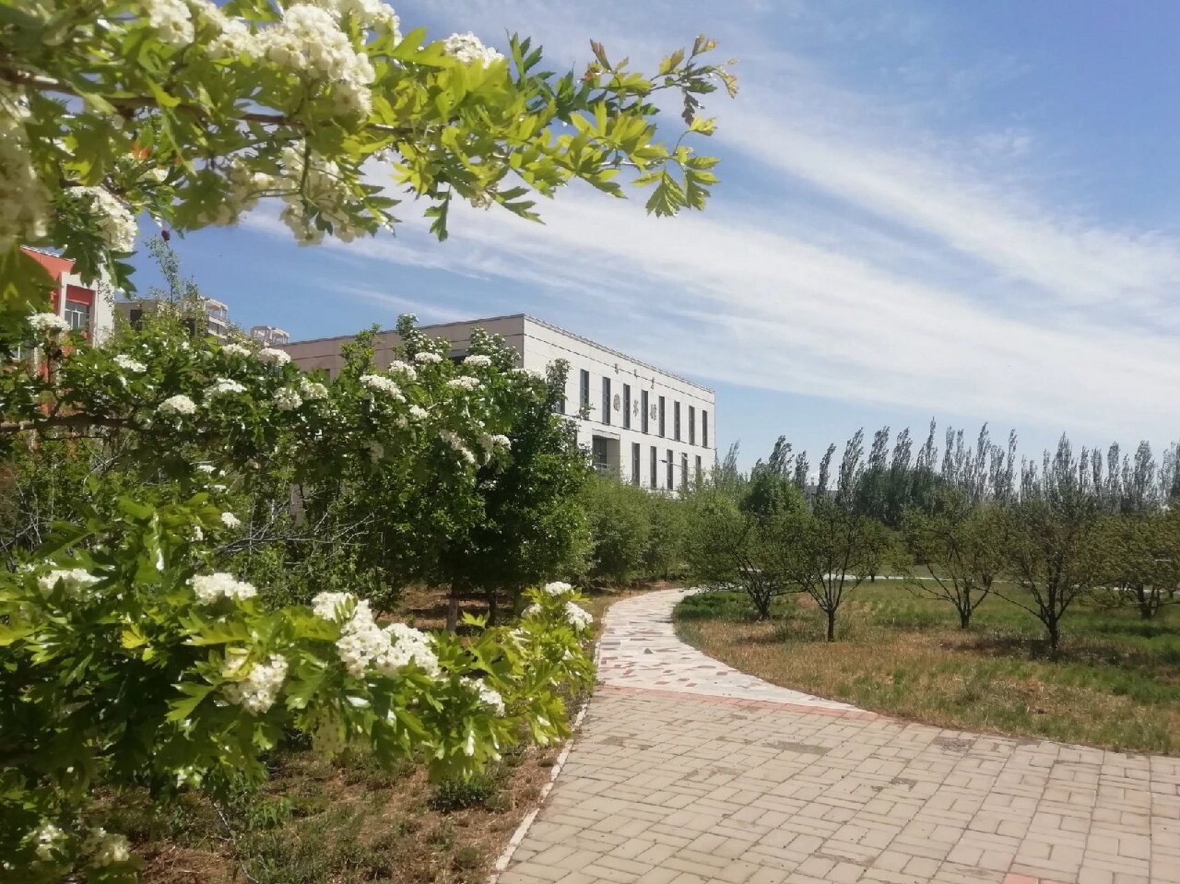 北师大集宁附中