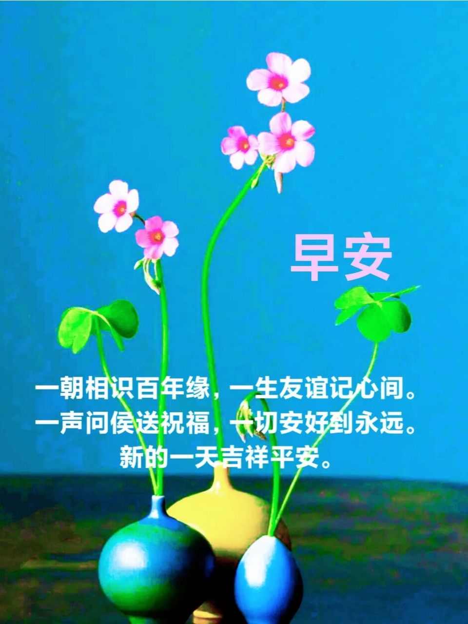 朋友圈早安问候文案图片 一朝相识百年缘,一生友谊记心间.