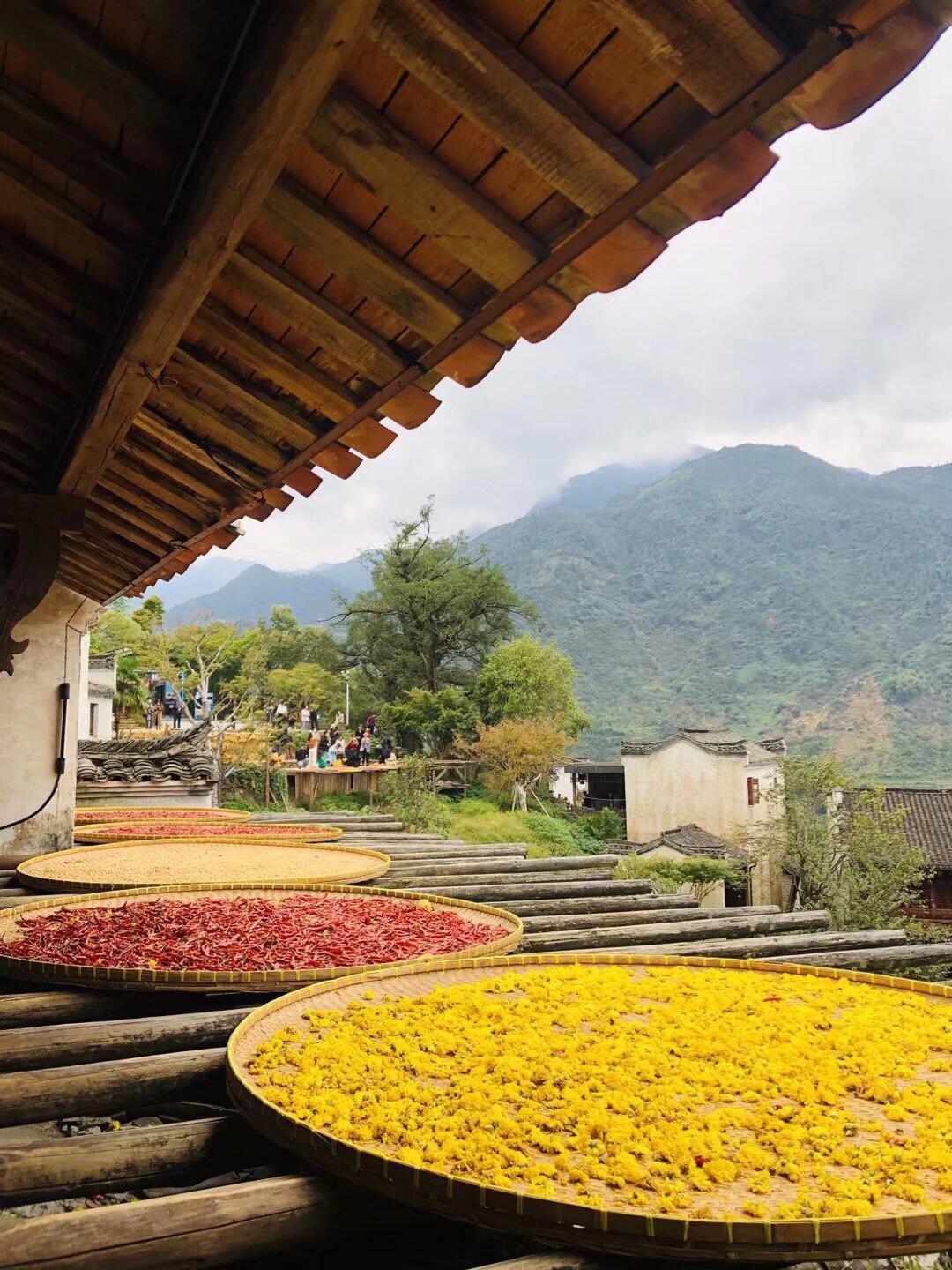 篁岭晒秋逐步成了画家,摄影家追逐创造的素材.