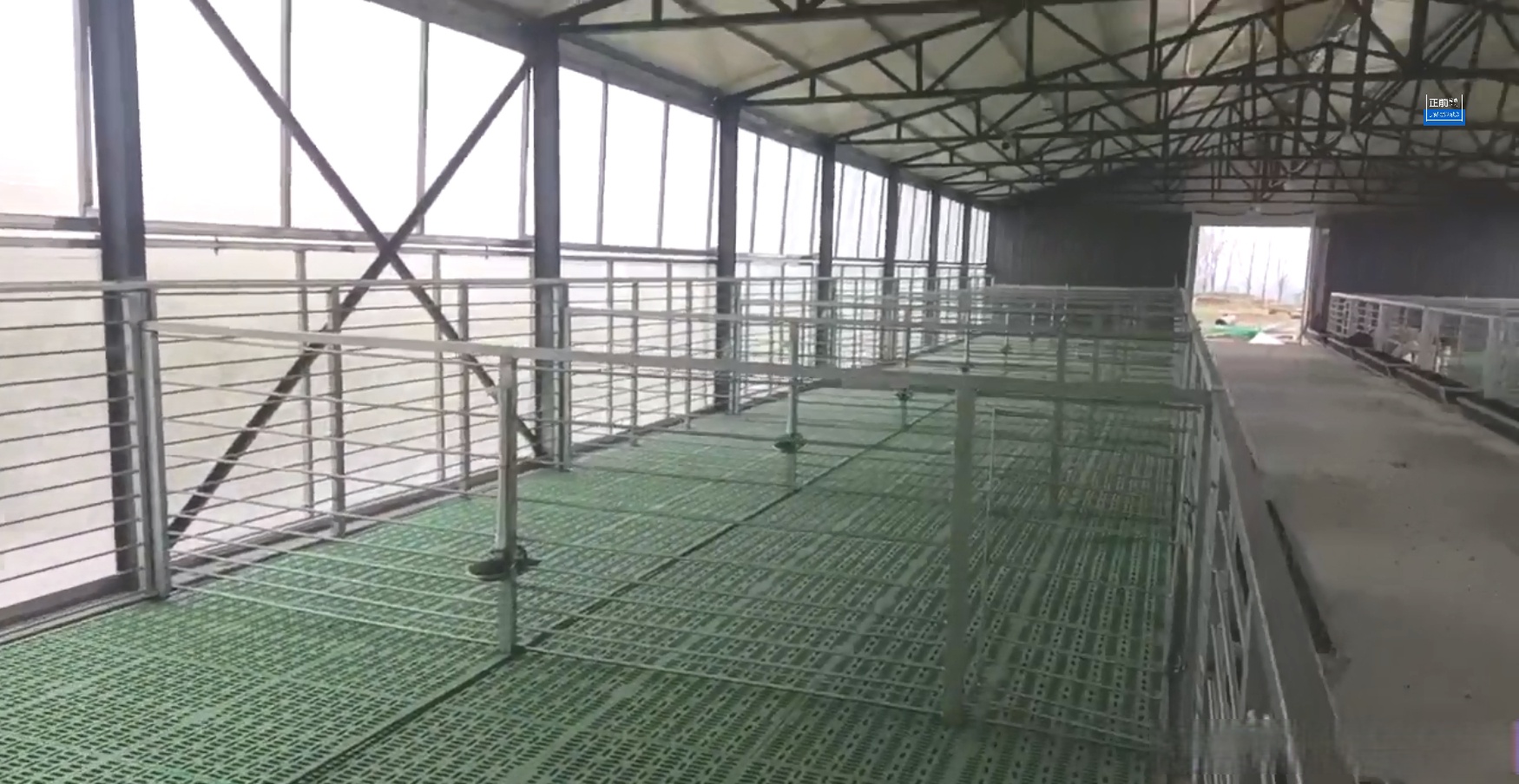 衬得小羊奶白奶白的 看得人心情舒畅#塑料羊床漏粪板##塑料羊床##养羊