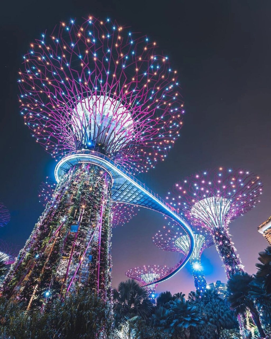 新加坡滨海湾花园携擎天树与你say hi!