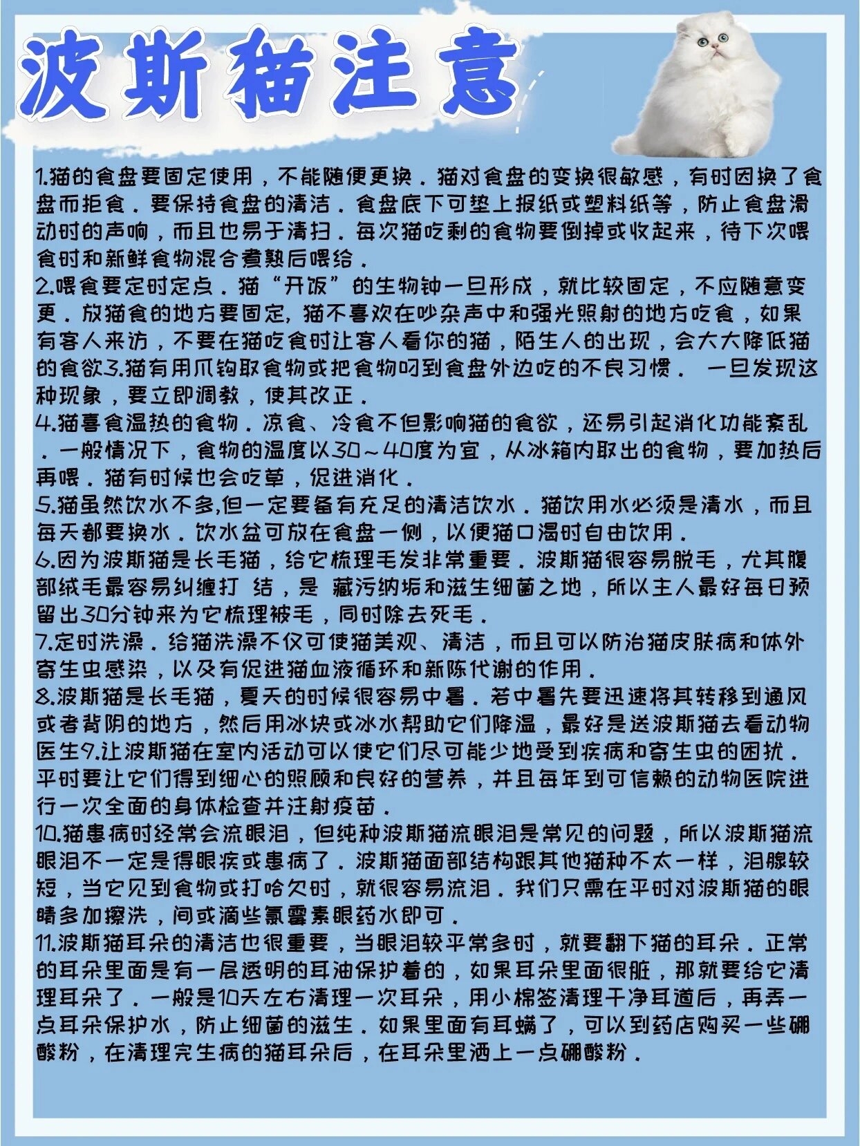 波斯猫品种介绍