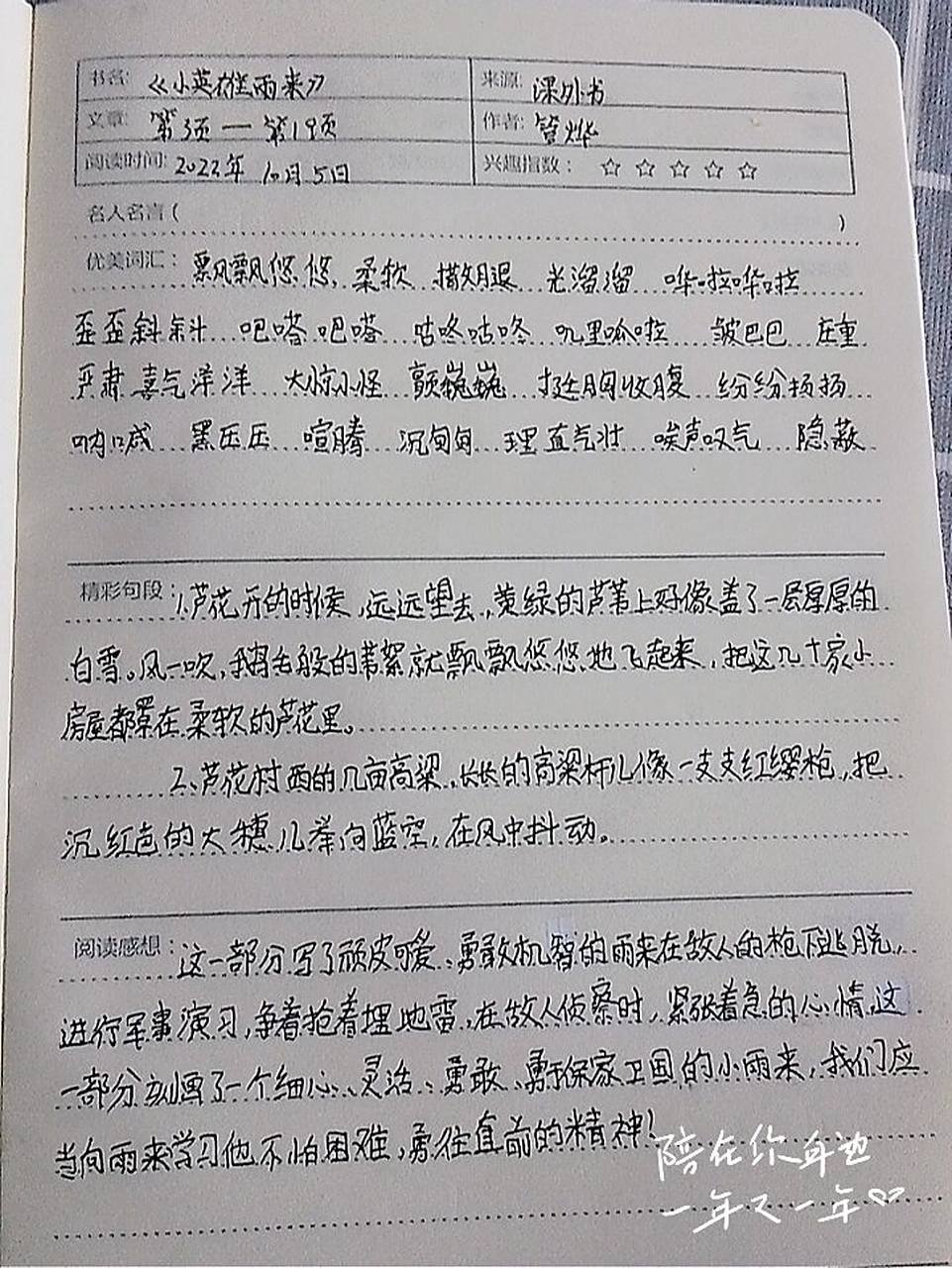 小英雄雨来读书笔记第一章