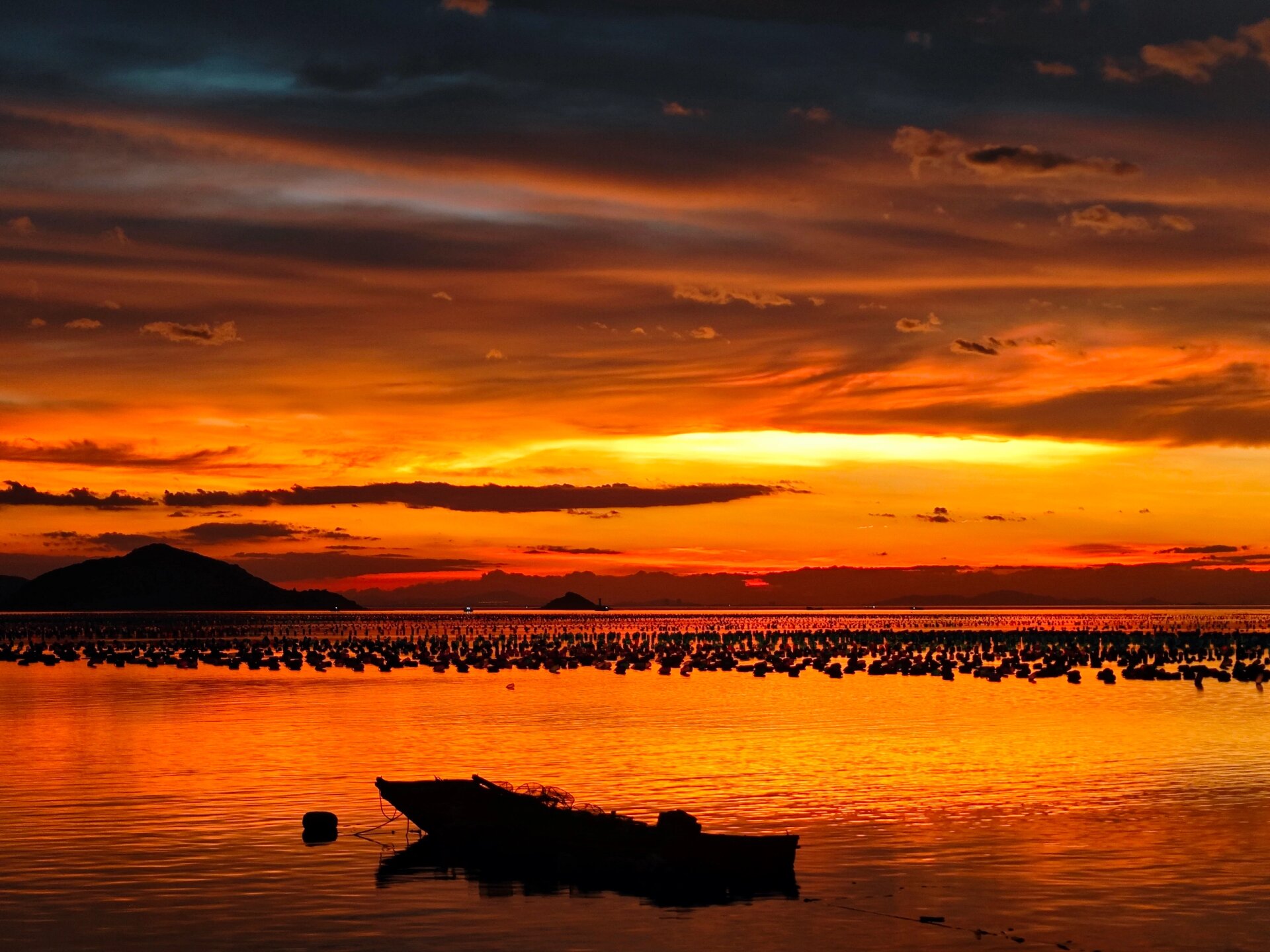 南澳岛冷门日落观赏点分享 现在去孤独的树平台看日落的游客朋友越来