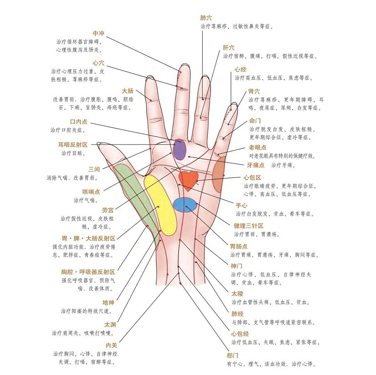 经络是人体内气血运行的通道,它们贯穿全身,将人体的脏腑,肢节和肌肉