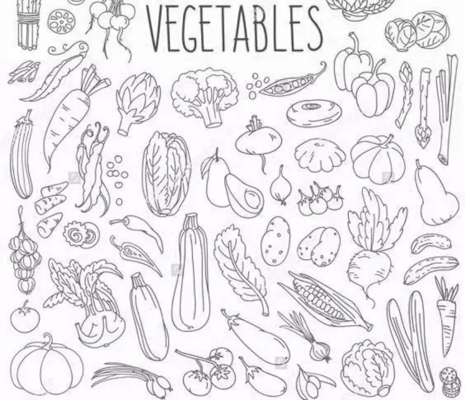 vegetables简笔画图片